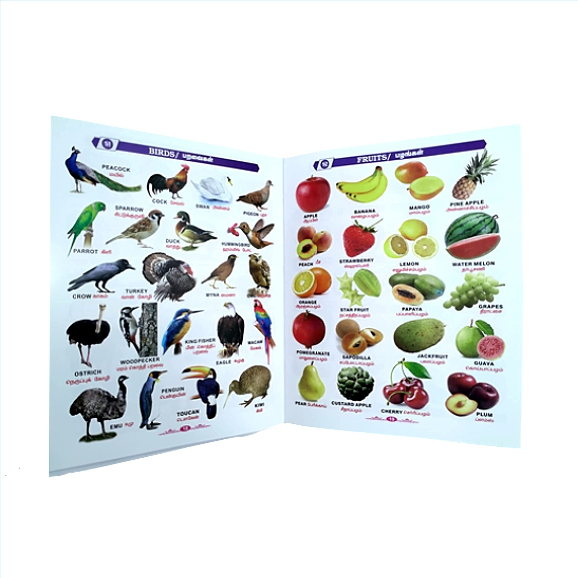 All in One Tamil தமிழ் - English : Kids Tamil Learning and Picture Books : 37 Topics : Alphabet, Numbers, Numerals, Tables, Math, Birds, Animals, Flowers, Fruits, Vegetables, Vehicles, Part of body, Rhymes, Stories, Computer and peripherals, Festivals, Good Habits, Spices, Our Helpers, Source of waters, Temples, colours and shapes, sea creatures, National Leaders, Safety rules, Food & Beverages, Historical Places, Insects, Reptiles & amphibians, Opposites, National symbols, Indian currency 3