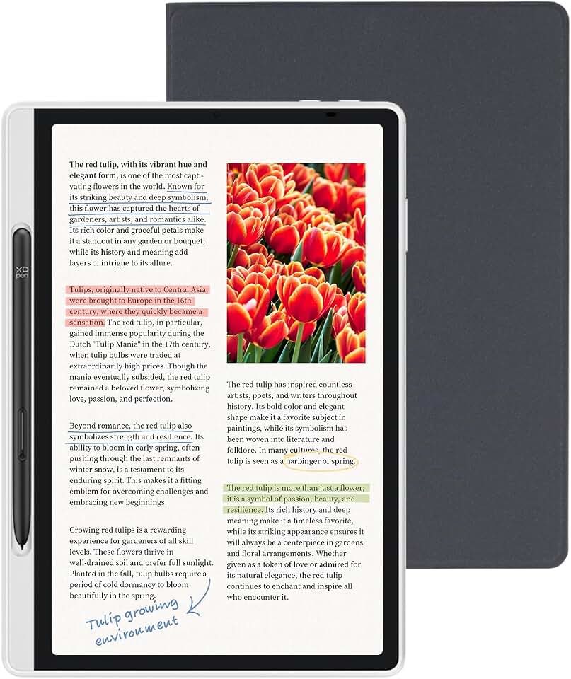 XPPen Magic Note Pad Tablet Android 14, Leitores de livros eletrônicos com Três Modos de Cor, Caderno Digital com 16K Lápiz sin Carga, 10.95 Pulgadas 6GB+128GB WiFi