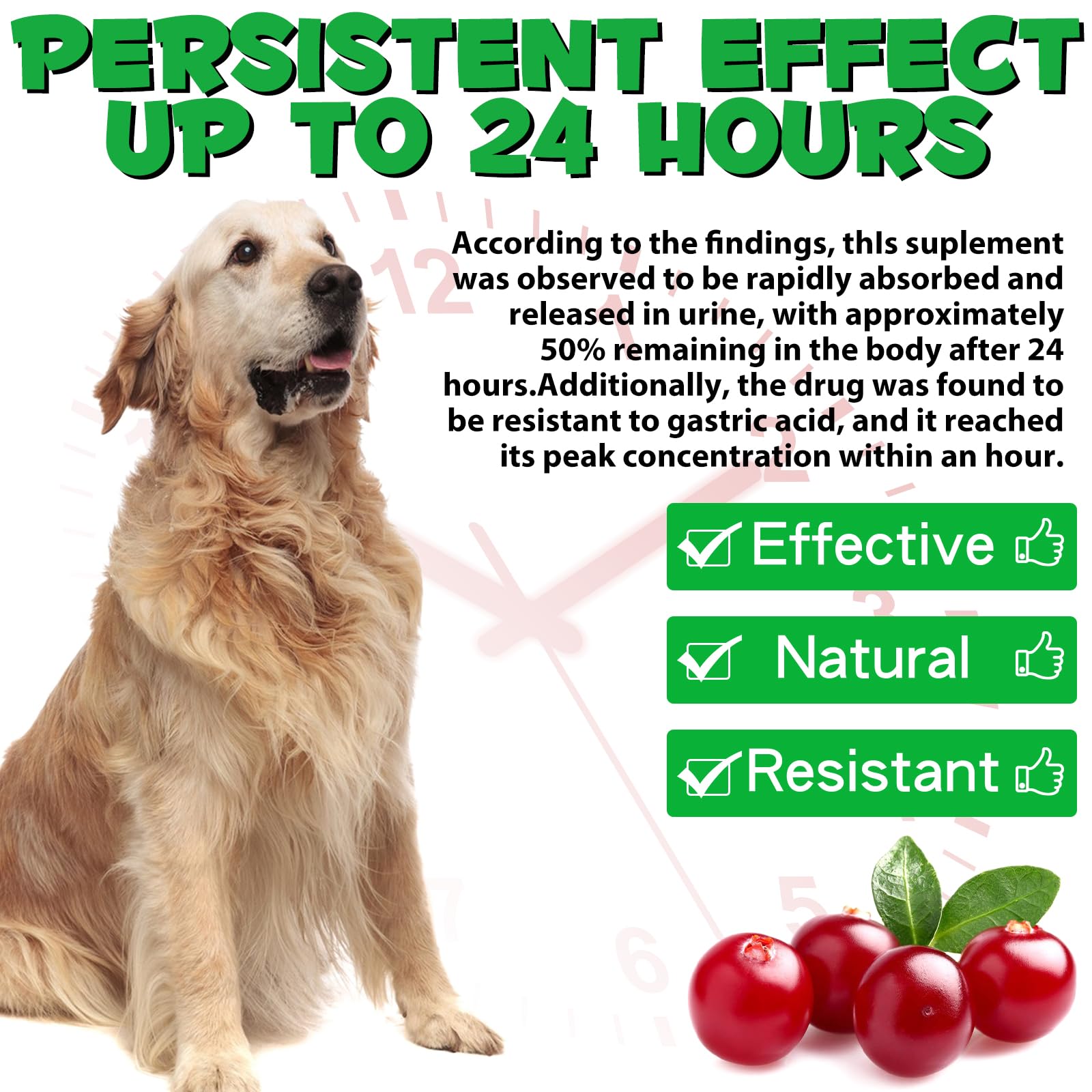 Dog Uti Treatment, Dog Urinary Tract Infection Treatment, Urinary Tract for Dogs with Cranberry Extract 60ML - Image 4