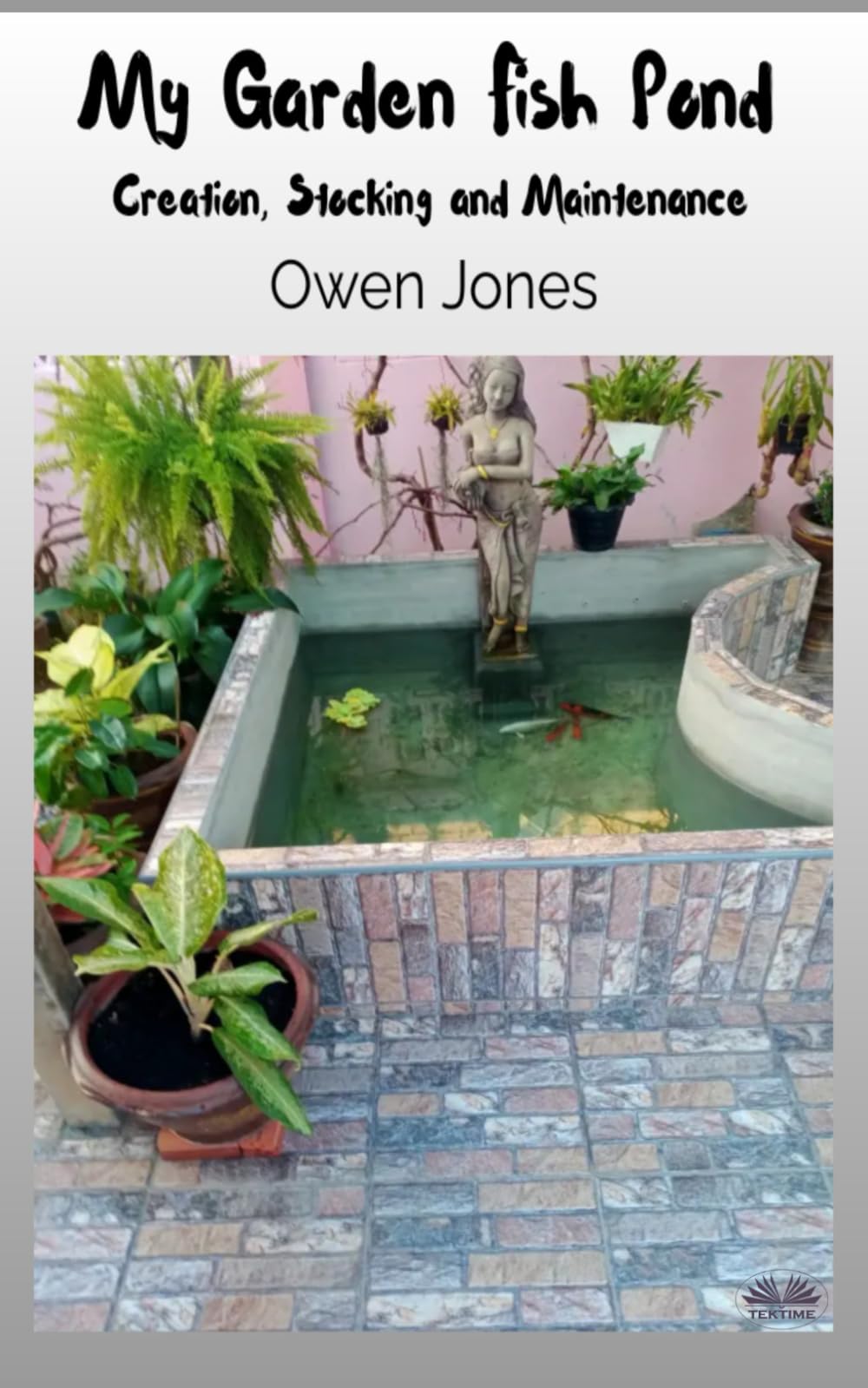 My Garden Fish Pond: Creation, Stocking, And Maintenance