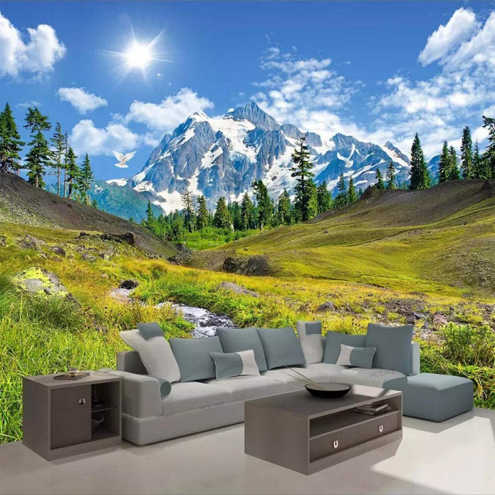 Papier peint panoramique montagne de neige 3D 250x175 cm pour salon et chambre