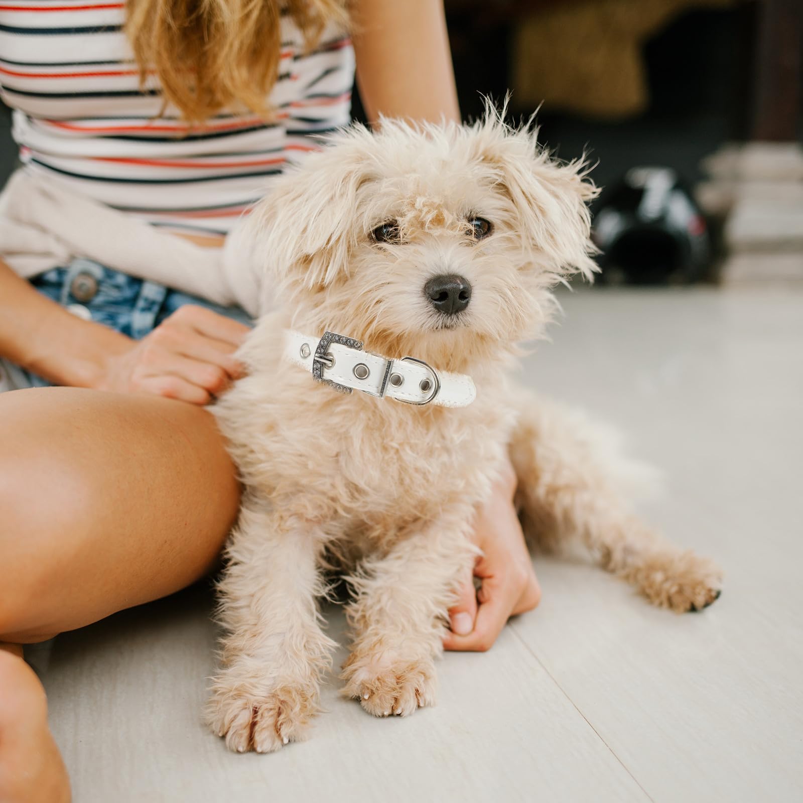 Outanaya Set 2 Pezzi Collare e Guinzaglio per Cani Cuccioli in Pelle Pu Perle Flessibile Colore Bianco per Foto e Matrimoni