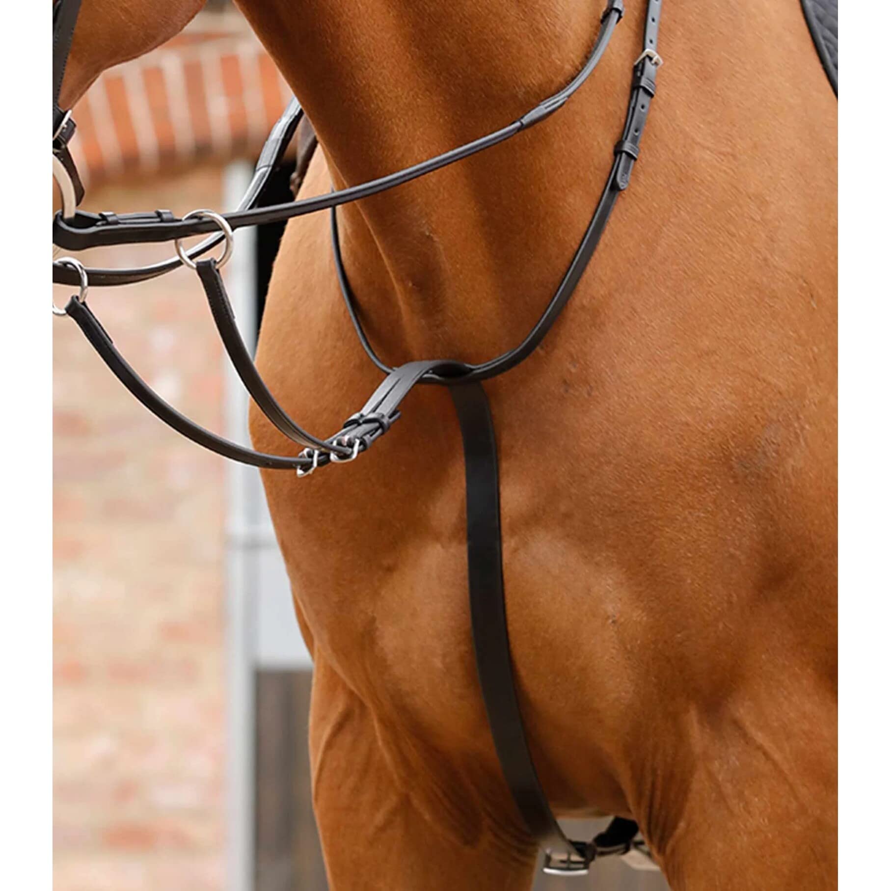 Premier Equine Martingala da Corsa Regolabile Santadi