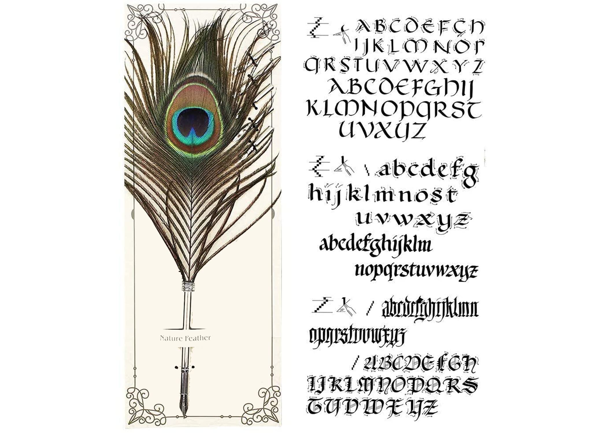 URBAN BOX Peacock Feather Pen Set Antique Calligraphy Writing Quill Ink Dip Pen with Ink Bottle 0.5 MM Fine Stainless Steel Nib- Perfect for Calligraphy Art, Lettering, and More