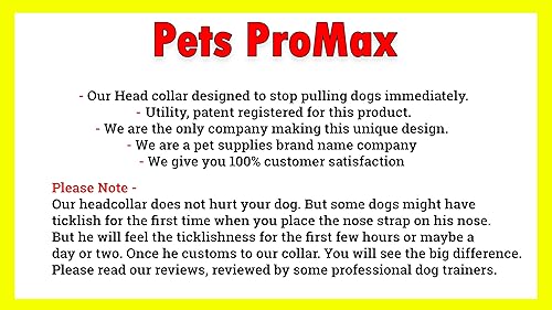 Miniatura 7 de PetsProMax - Collar para perro sin tirones, collar de entrenamiento para perro  Collar para caminarentrenar para perros  Evita instantáneamente que