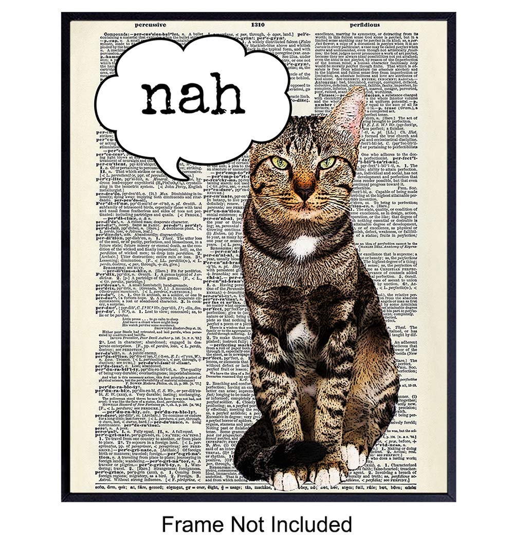 Funny Cat Wall Art - Cat Wall Decor - Unique Gift for Cat Lover, Kitty, Kitten Feline Fan, Veterinarian - Upcycled Dictionary Art - Home Decor for Bedroom, Living Room, Home, Vet Office
