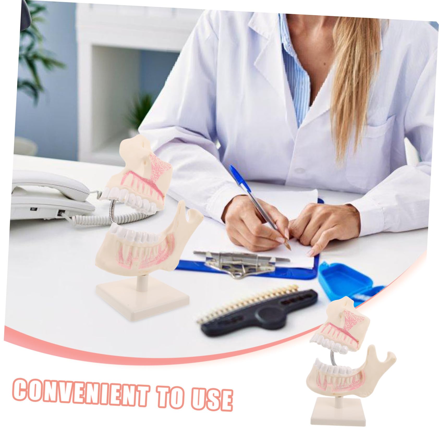 MAGICLULU Modello di Bocca in Plastica per Studio Modello Dimostrativo per Studenti di Odontoiatria Strumento di Intaglio per Pratica e Preparazione Agli Esami