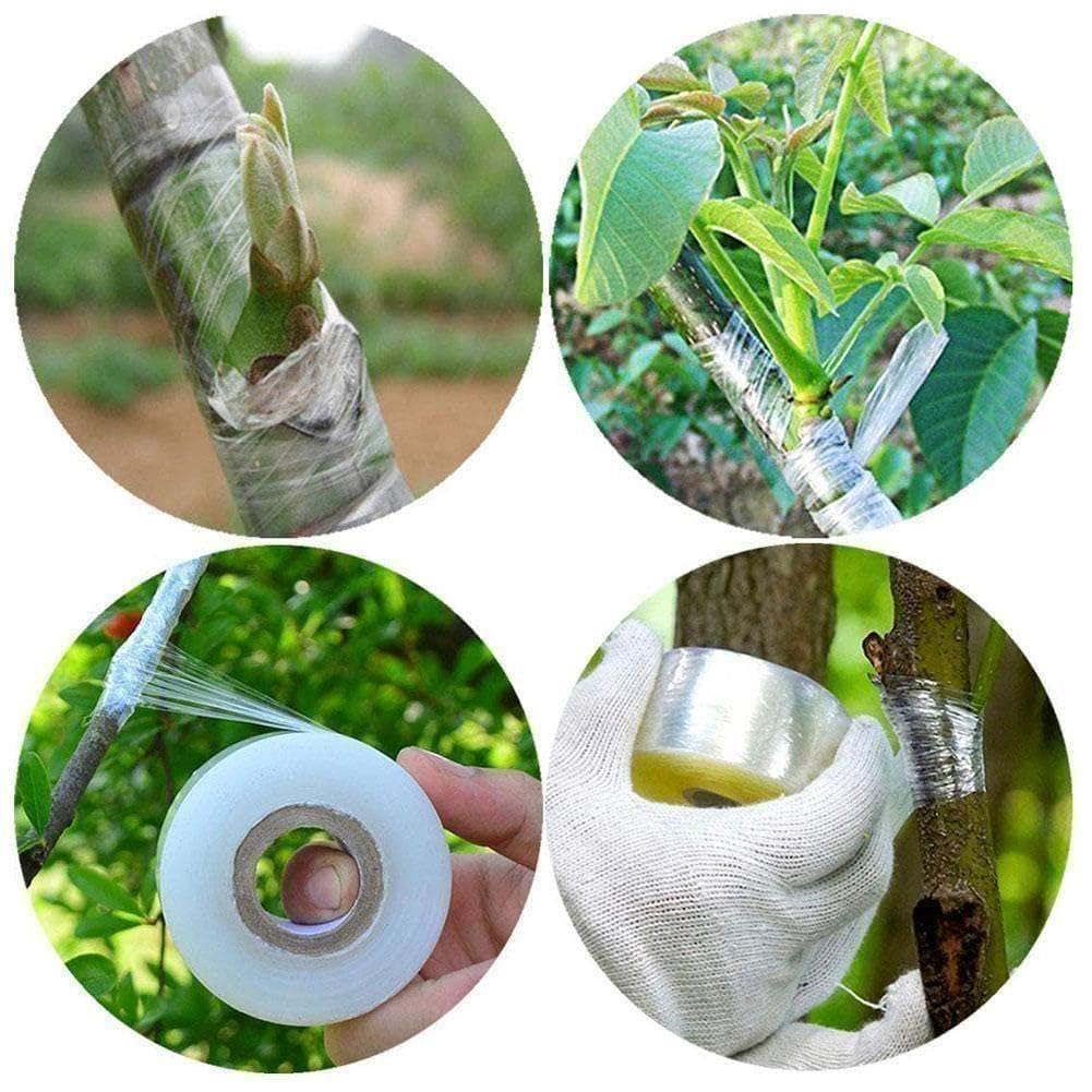 Easytle Rotolo Nastro Elastico Per Piante In Vinile Verde - 10 Pezzi Da 45,7m X 1,27cm - Legacci Elastici Per Giardinaggio, Fissaggio Viti E Rami - 5