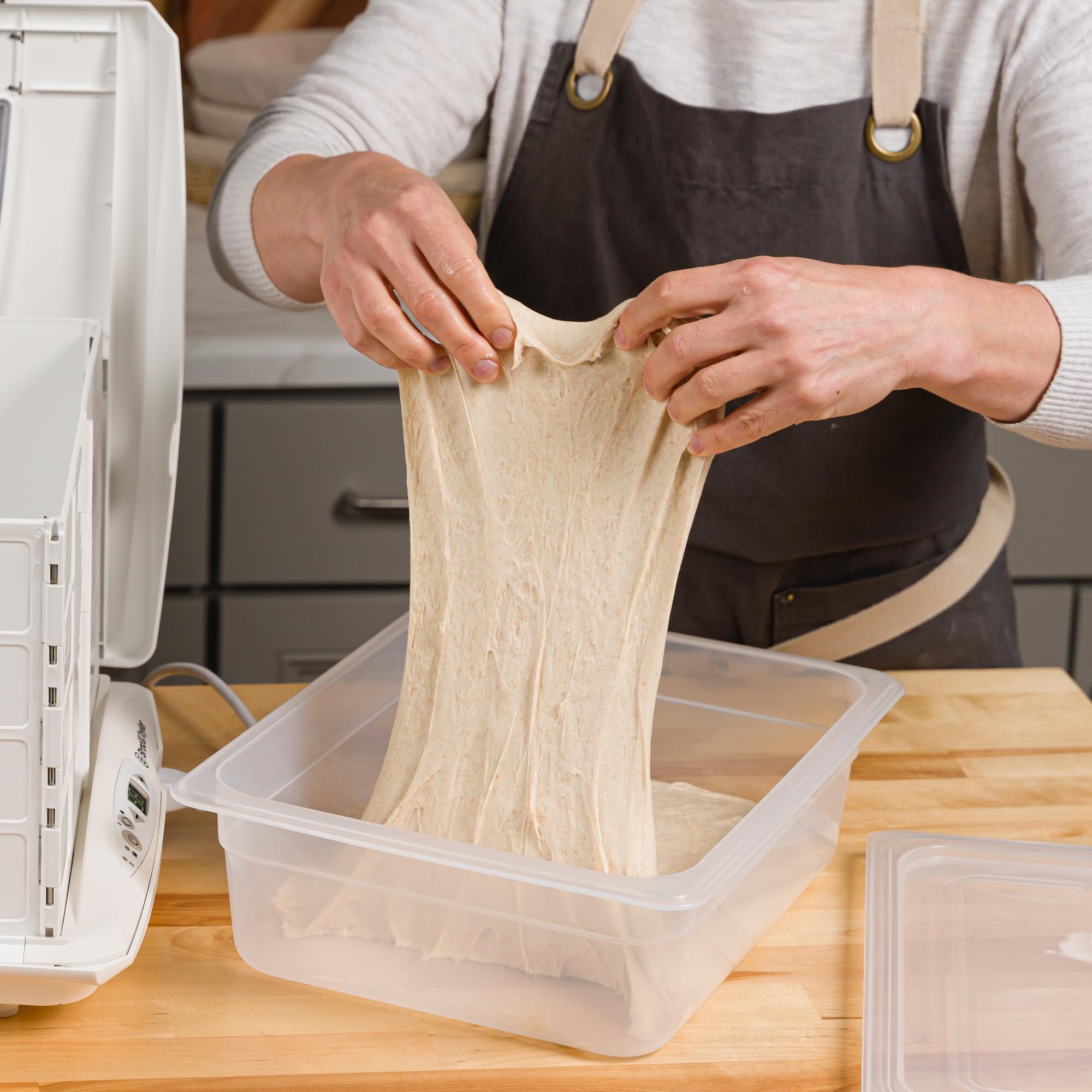 Brod & Taylor Folding Proofer + Proofing Container (Bundle)