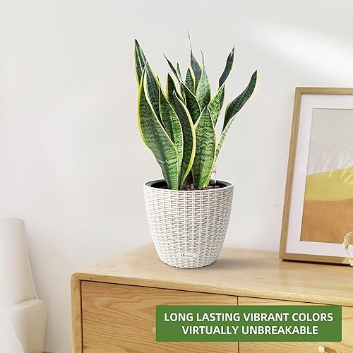 Miniatura 6 de Dexceder Maceta de ratán con riego automático para interiores y exteriores, diseño de maceta interior, maceta de mesa gruesa con indicador de nivel