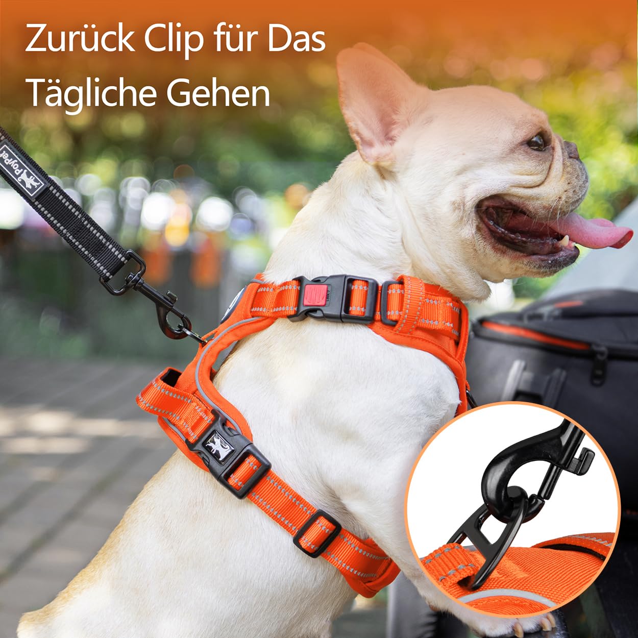 PoyPet Imbracatura per cani non pull, pettorina riflettente per cani senza choke, regolabile, morbido e imbottito, con manico Easy Control per cani di piccola e grande taglia (arancione, XL)