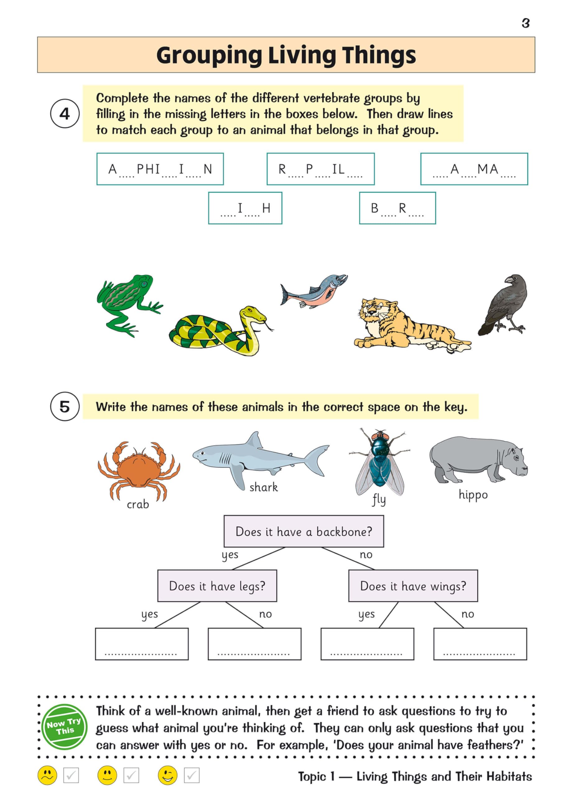 New KS2 Science Year 4 Targeted Question Book (includes answers) (CGP KS2 Science) - Image 5