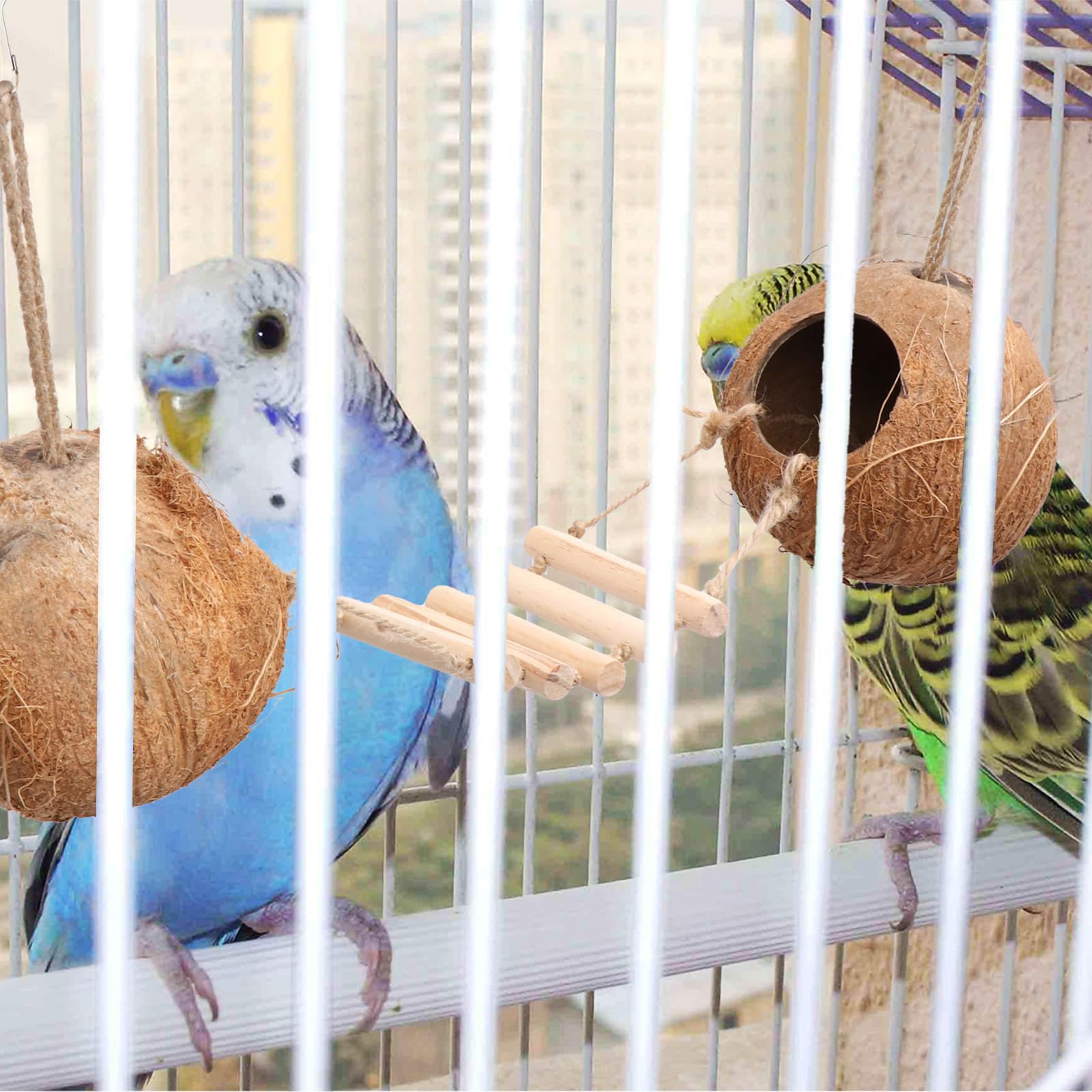 BETOOKY Vogelnest aus Natürlicher Kokosnussschale mit Holzleiter Hängendes Kleintier für Wellensittiche Kanarienvögel und Hamster