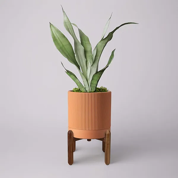 Large Terracotta Pots, 8 Inch Clay Planter Pots with Drainage Hole & Saucer (with Stand), Garden Planters for Indoor/Ourdoor Plants, Cactus & Snake Plant