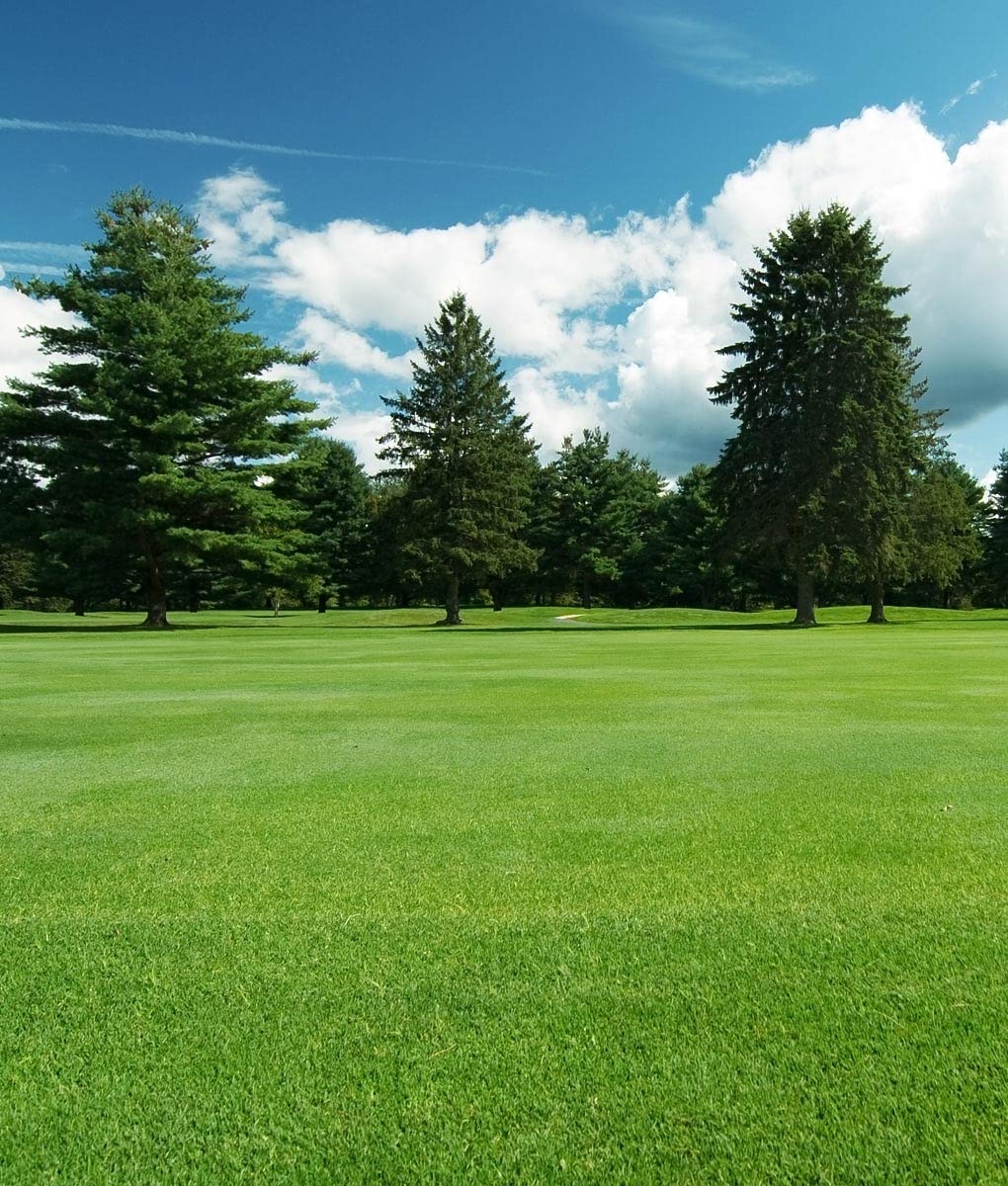 Hardwearing Lawn, Ultra Hardwearing Grass Seed by DAMAVAND RPO, Fast Growing Lawn Seed (20kg)