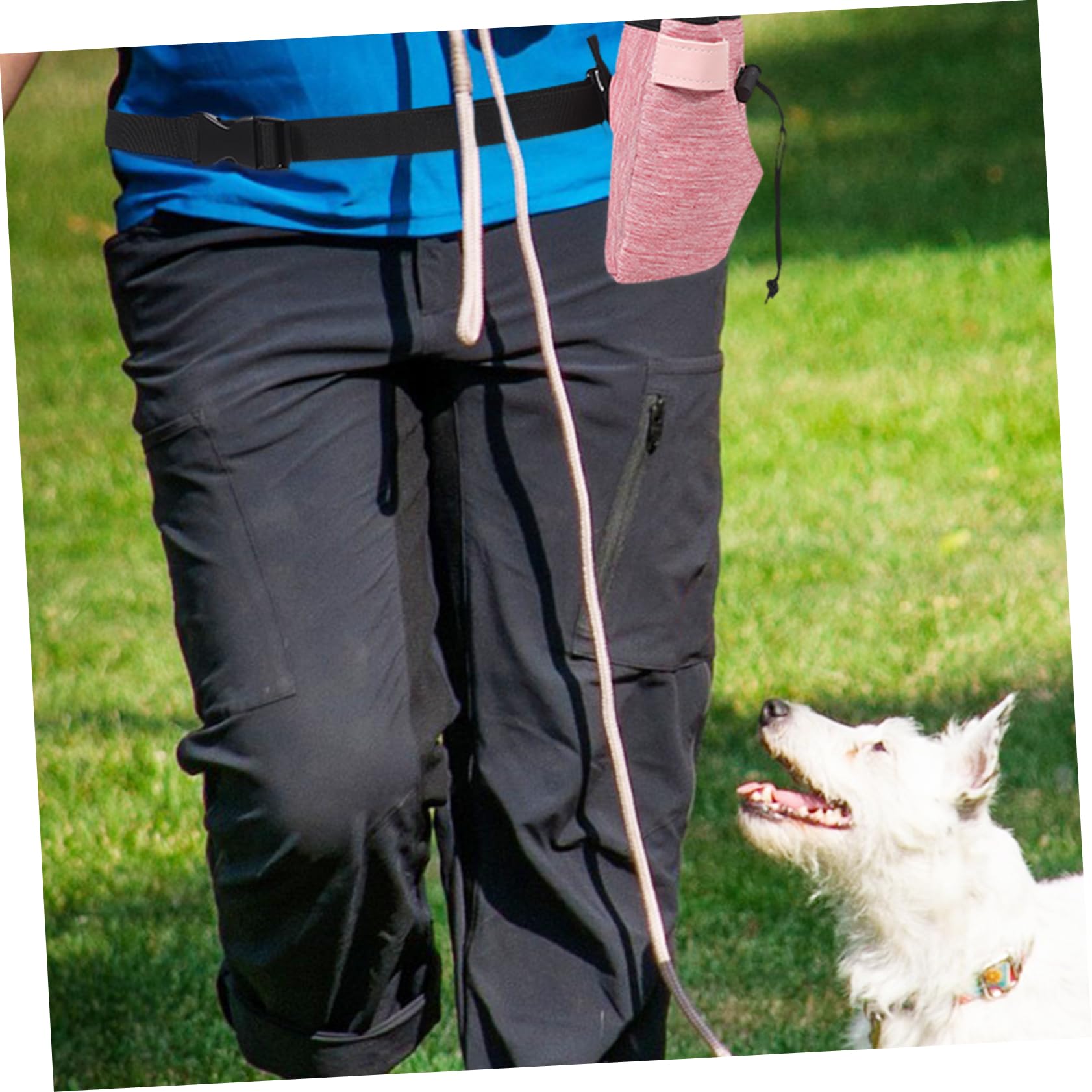 Toddmomy 5piezas Bolsa De Entrenamiento para Mochila De Cintura para Snacks y Accesorios para Paseos y Adiestramiento Diseño Práctico y Resistente