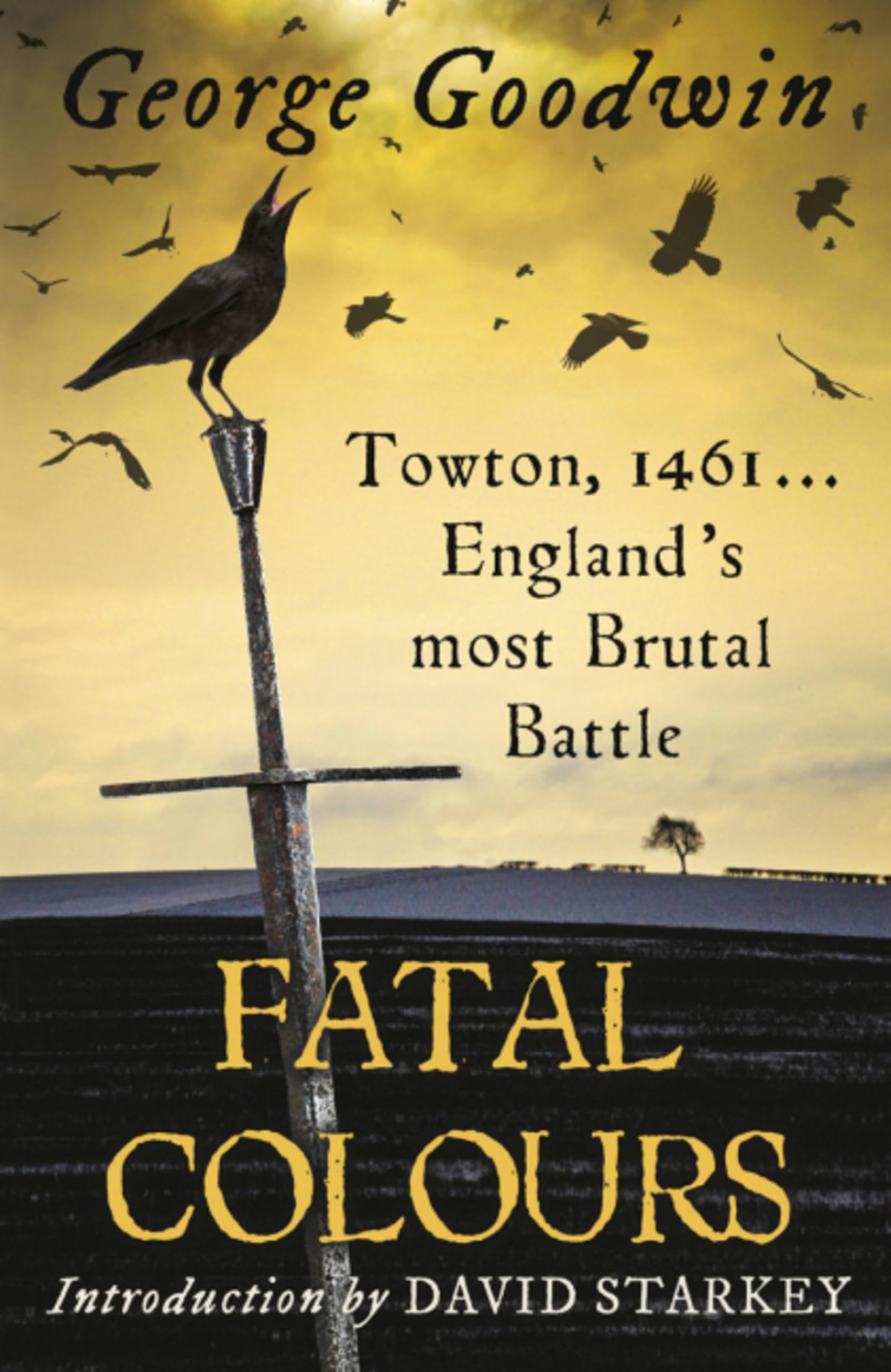 Fatal Colours by George Goodwin (Paperback Book)