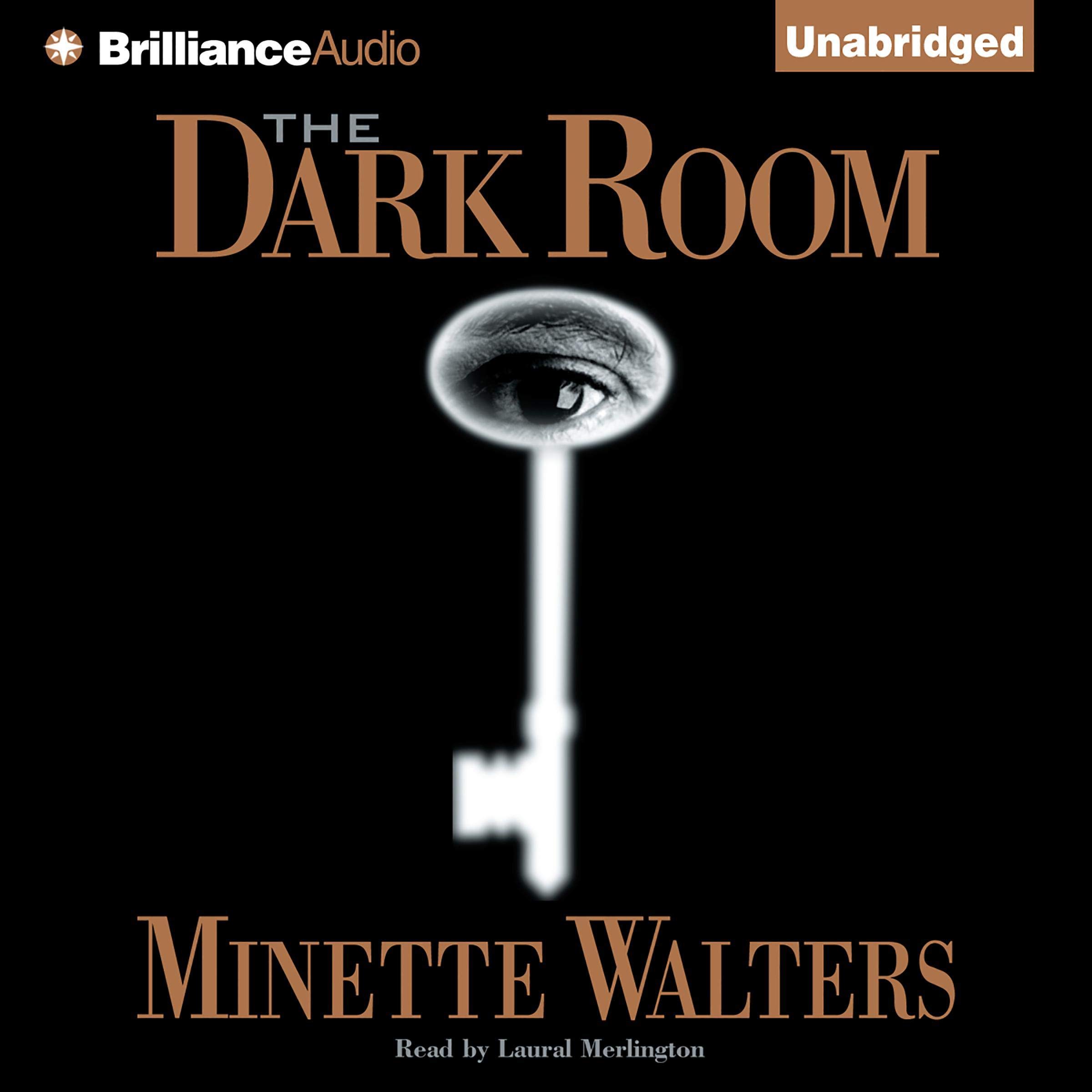 Cover art for The Dark Room