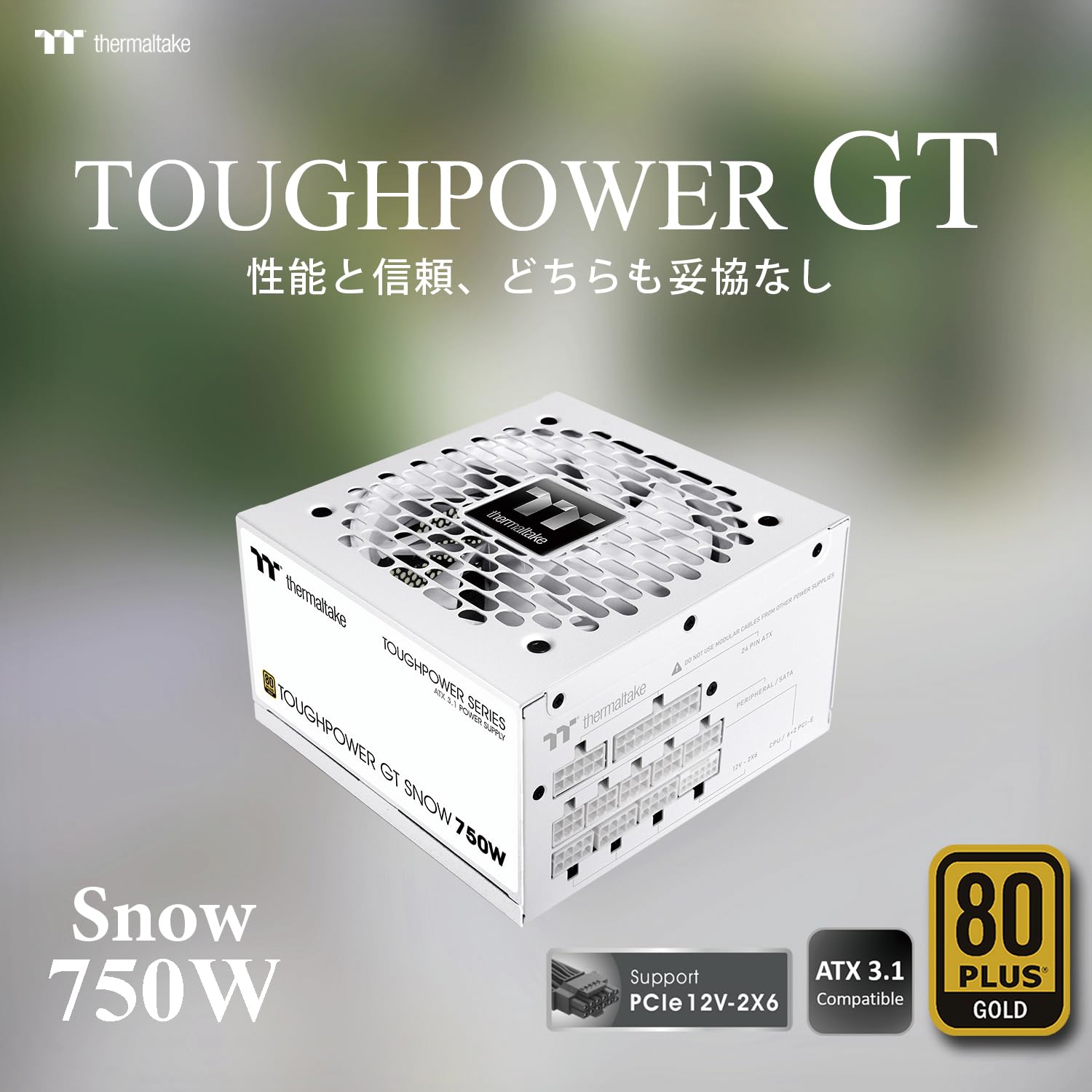 Thermaltake TOUGHPOWER GT 750W Snow PC電源ユニット