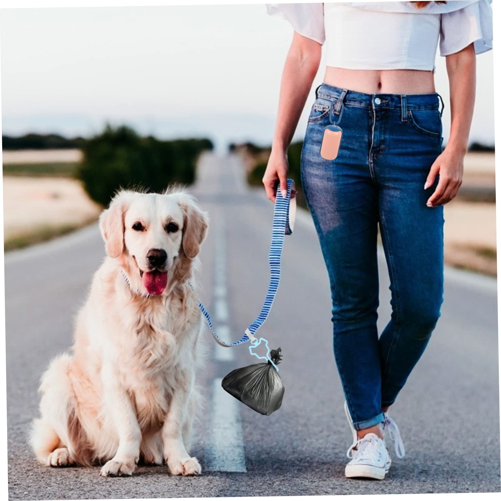 Toyvian 5pièces Porte-sacs à Déjections Canines Attache pour Sacs à Déjections Clip pour Laisse Accessoire pour Chien sans Utilisation des Mains
