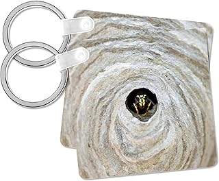 Bald-faced hornet, insect nest, Ontario - NA02 PCL0004 - Paul Colangelo, Key Chain