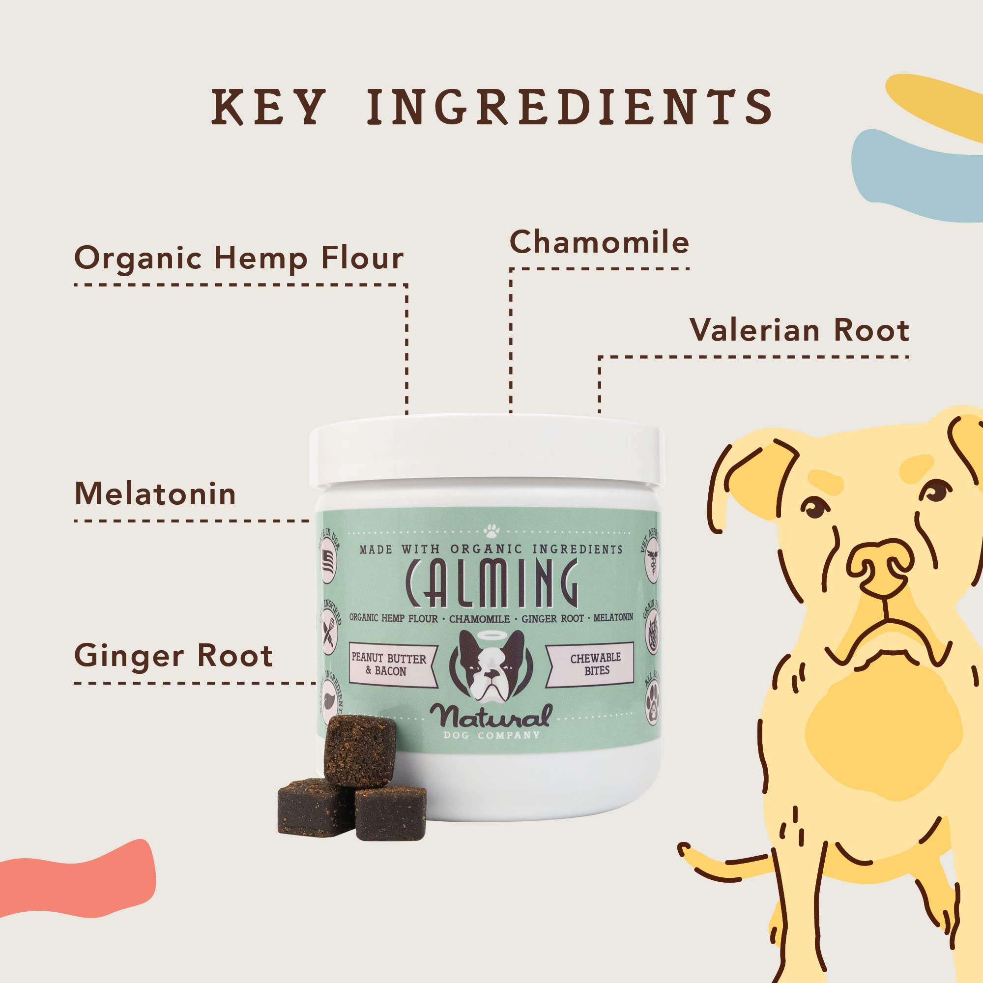 Does Peanut Butter Make Dogs Poop