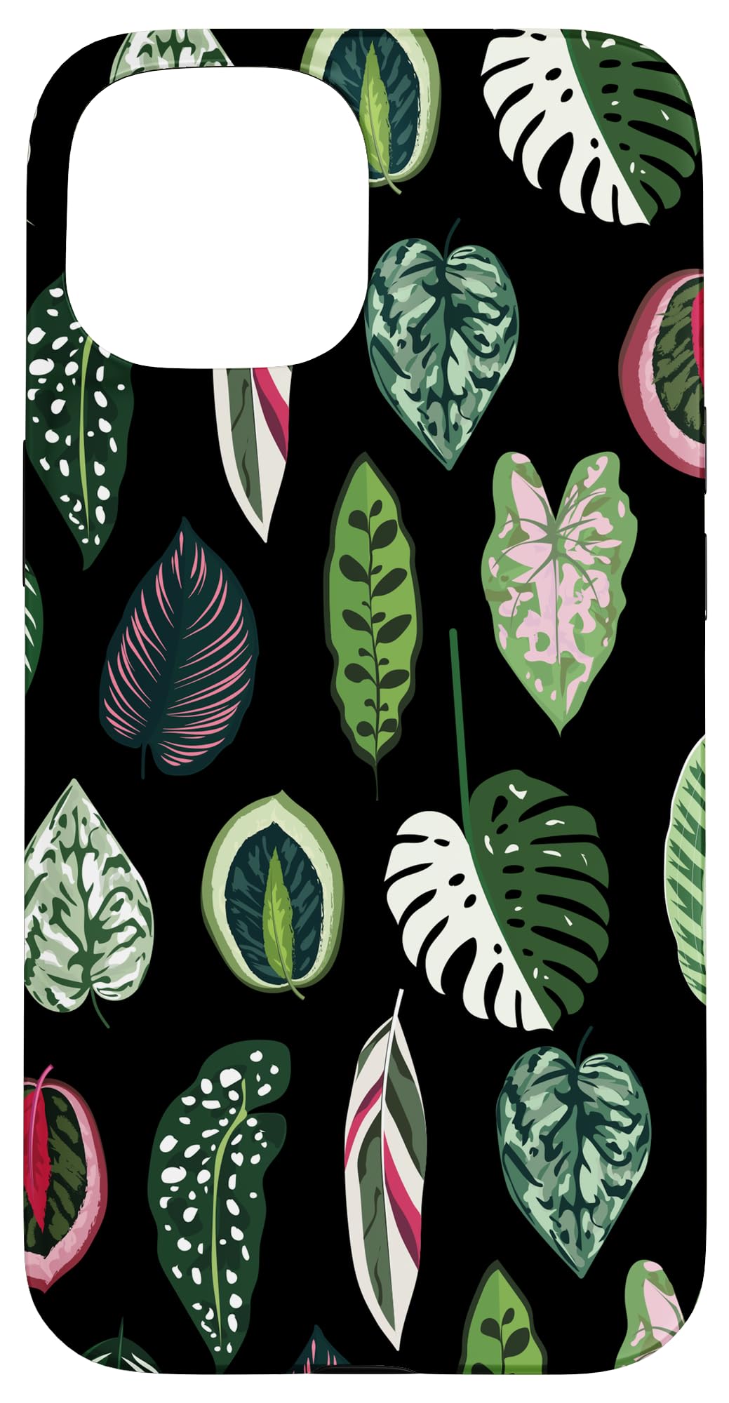 Calathea Varigatea Monstera Plant Leaf Black Case for iPhone 15