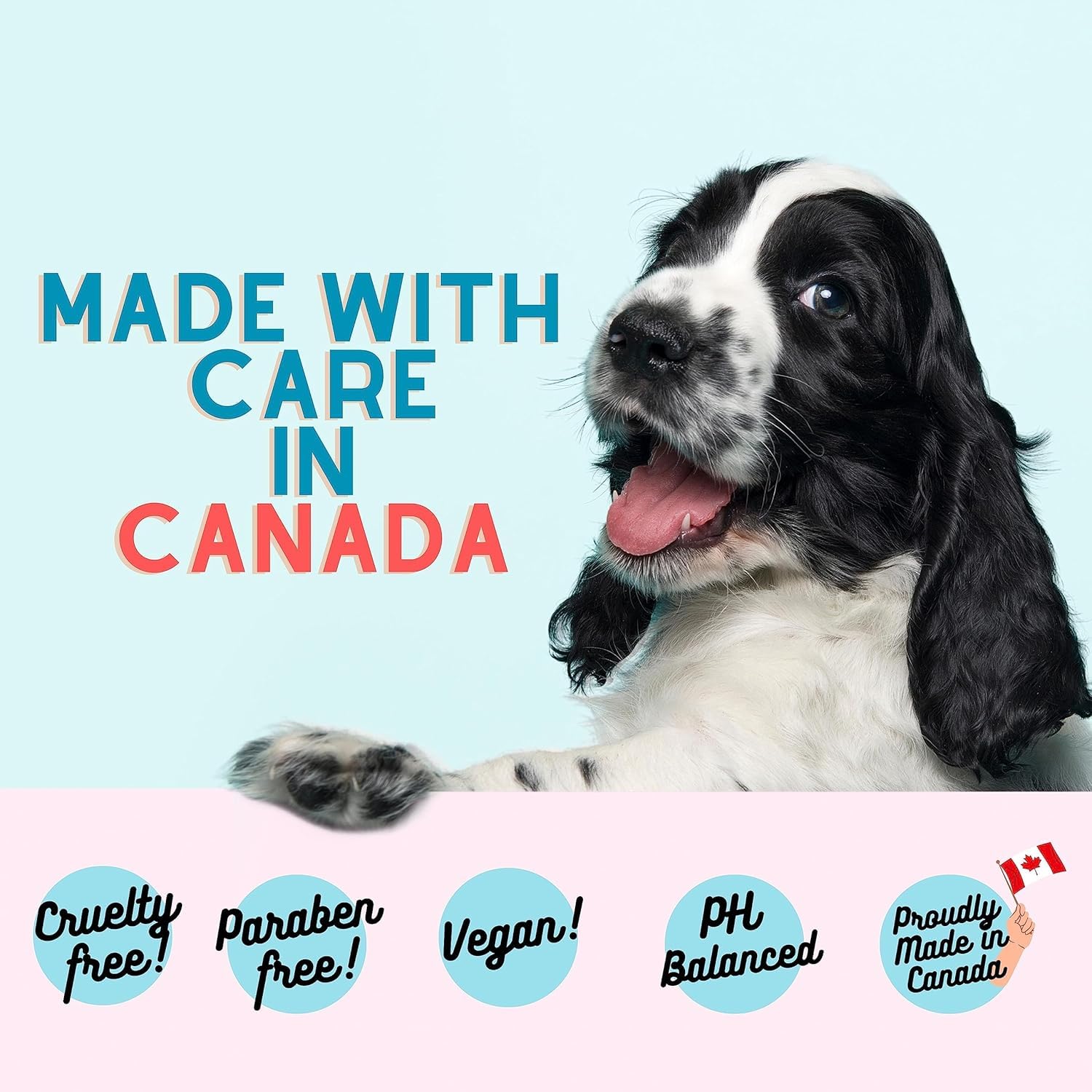 Dogz & Dudez Dog Ear Cleaner (Made in Canada) – Natural Herbal Ear Wash for Dogs & Cats – Removes Wax, Dirt & Odor – Gentle Plant-Based Formula – 200ml (7 fl oz) — view 6