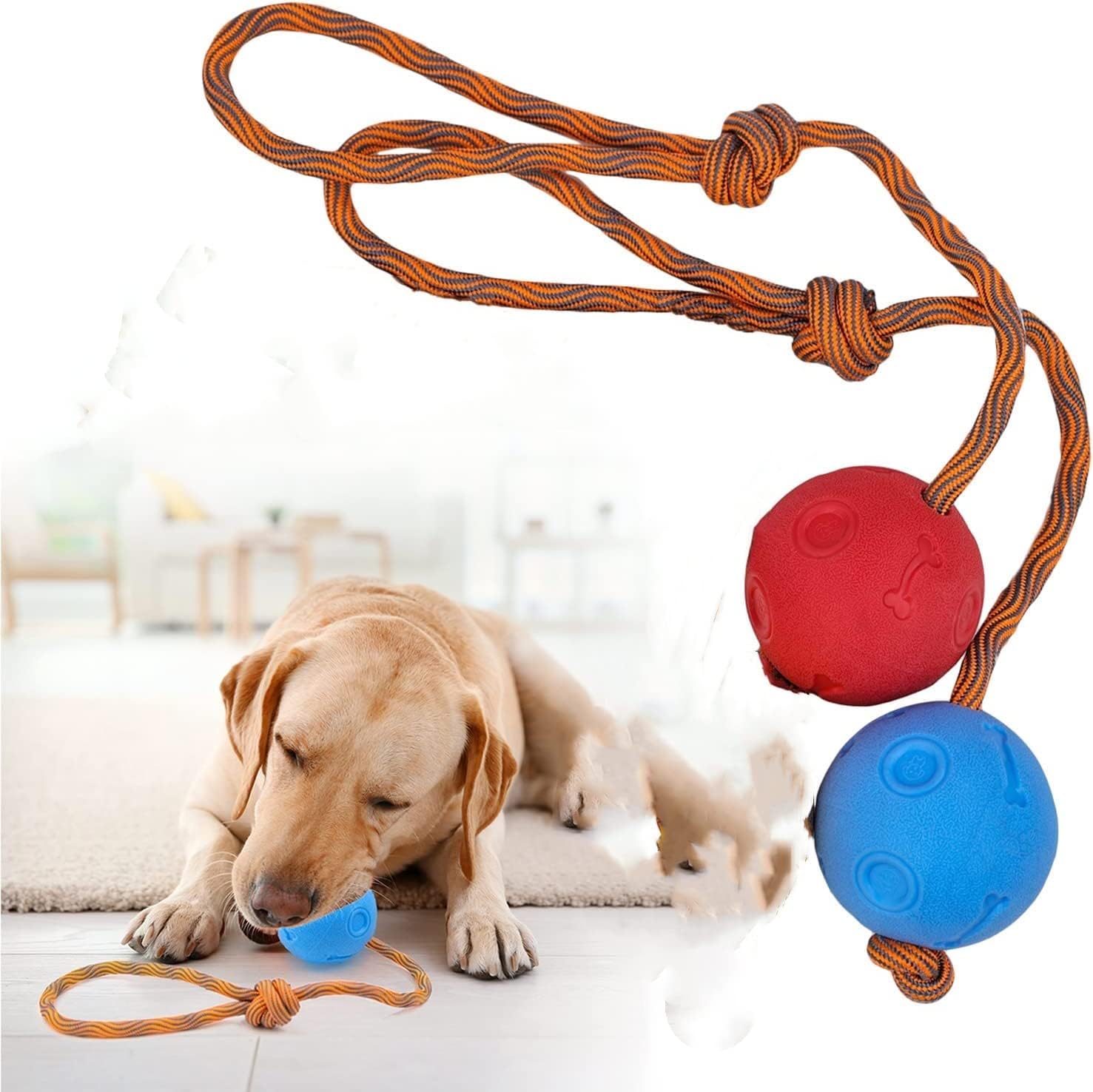 2 Pack Rope Dog Toy, Fetch and Catch Toys Durable Rubber Balls Tug of War Play Interactive Pet Game Canine Activity Accessory Elastic Solid Toy for Fetch, Catch, Throw and Tug of War 6 cm, Blue + Red