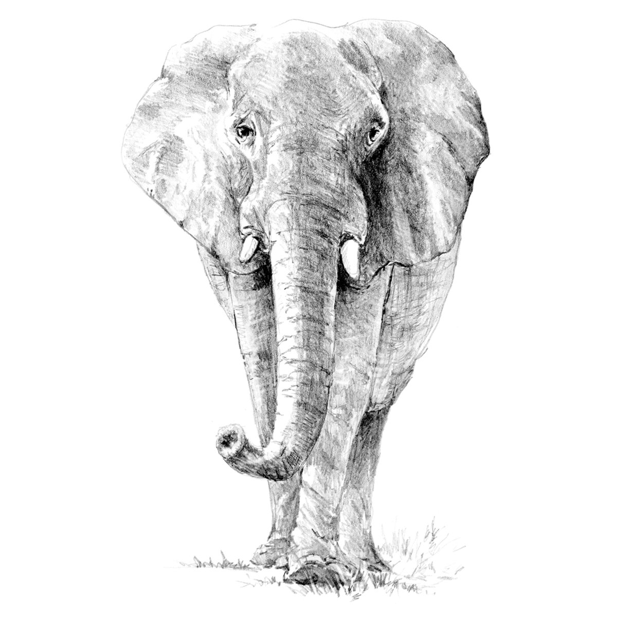 Royal Brush Sketching Made Easy Kit 9"X12"-Elephant