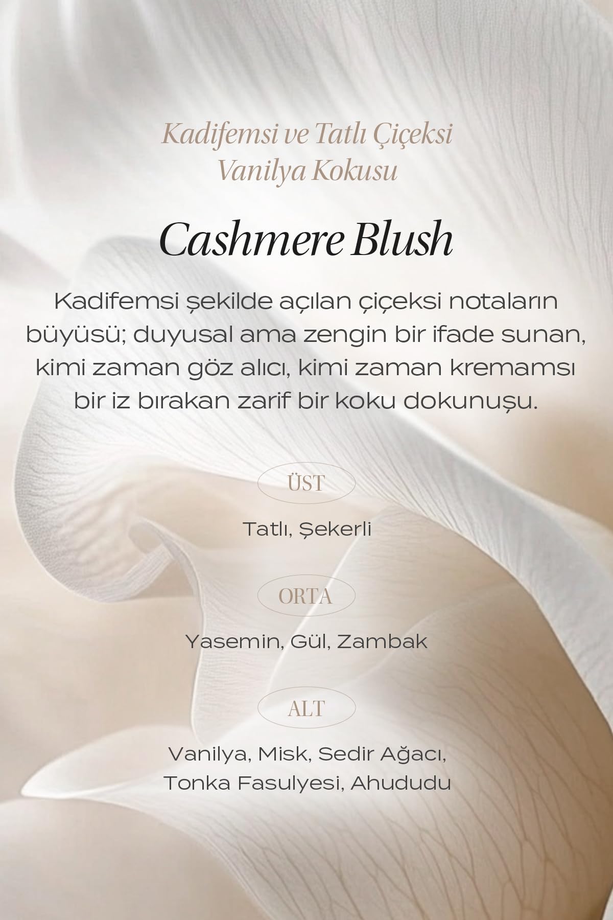KUNDAL İnce Dokulu, Renkli ve Işıltılı Vücut Yağı Satin Glow Shimmer Oil (Champagne Rose)