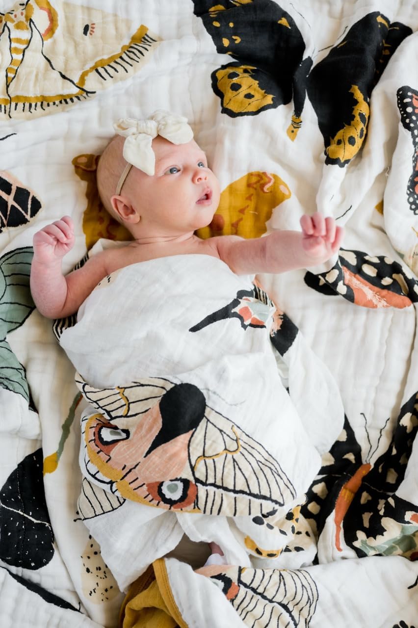 CLEMENTINE KIDS Reversible Quilts (Butterfly Collector) - Image 6