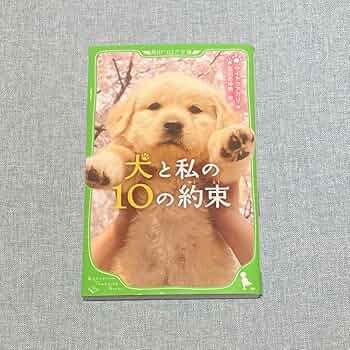 Amazon.co.jp: 犬と私の10の約束 - J : ペット用品