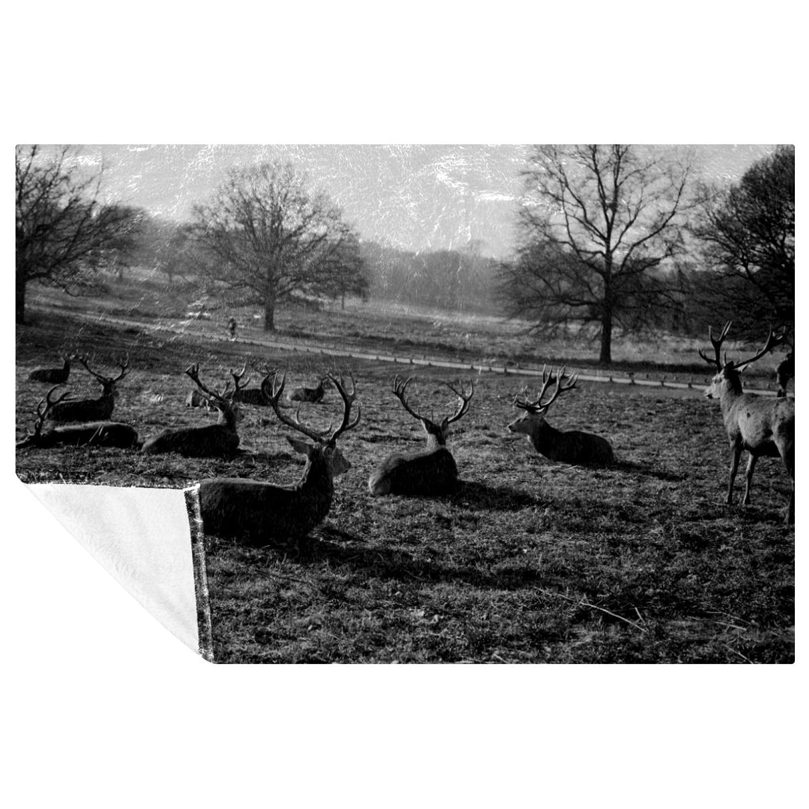 Couverture douce cerfs pour lit et canapé plaid chaud de camping 150x100 cm