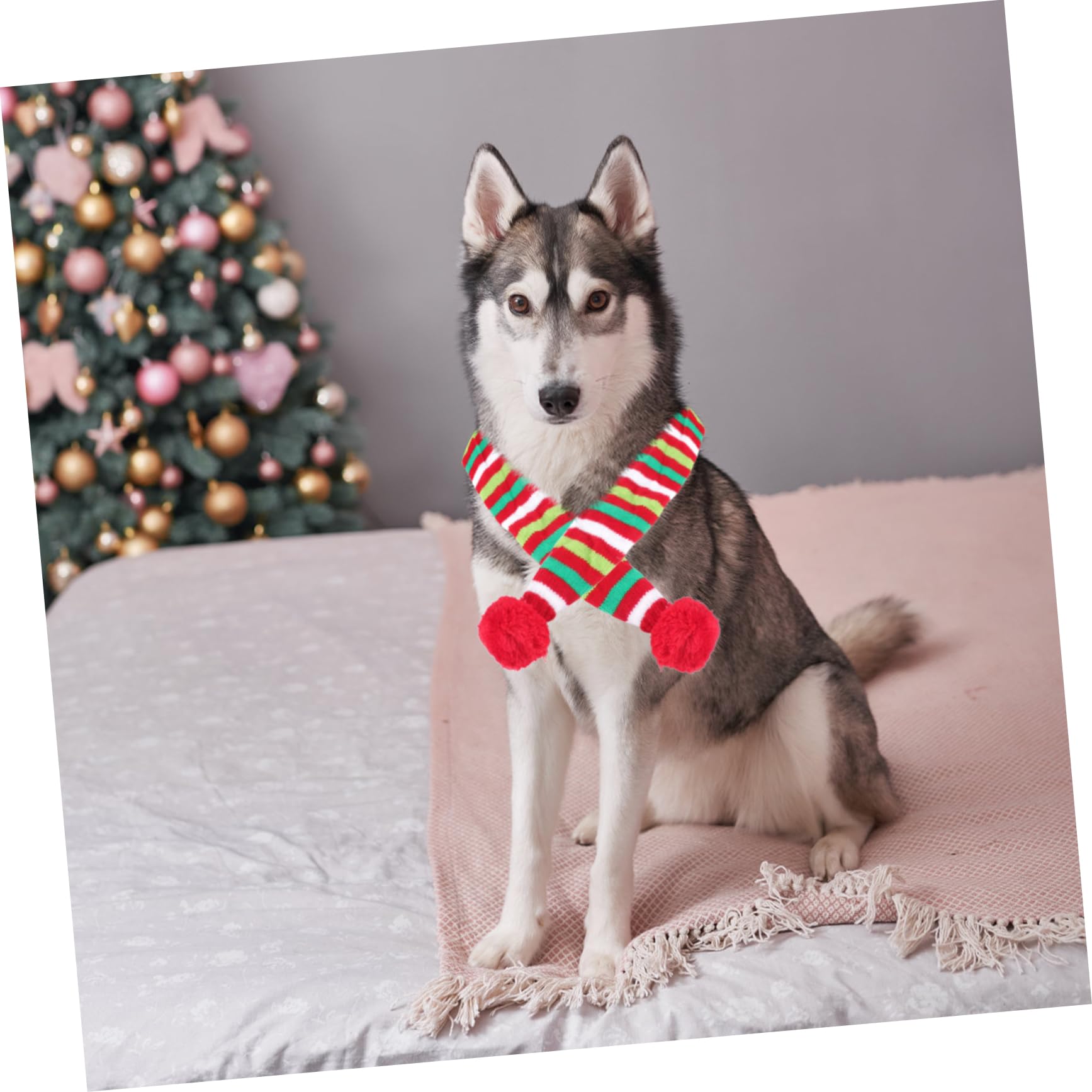 FOMIYES 3piezas Bufanda Navideña para Perros Accesorio De Invierno y Adorable Decoración Festiva para Mascotas para Caminatas y Celebraciones De Navidad