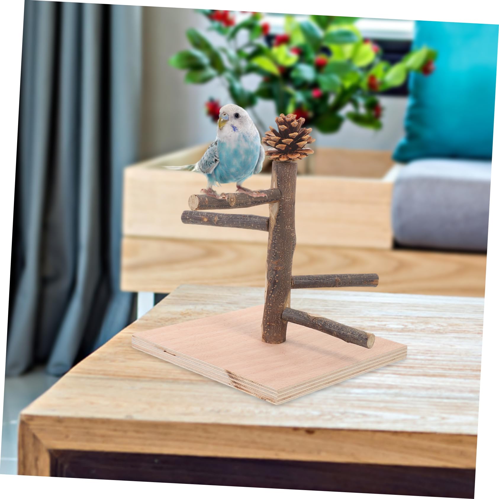 Kisangel 4 Piezas Marco De Entrenamiento De Loros Percha De Pájaro De Escritorio Percha De Pájaro De Mesa Puesto De Mesa para Loros Juguete Decorativo para Loros De Madera