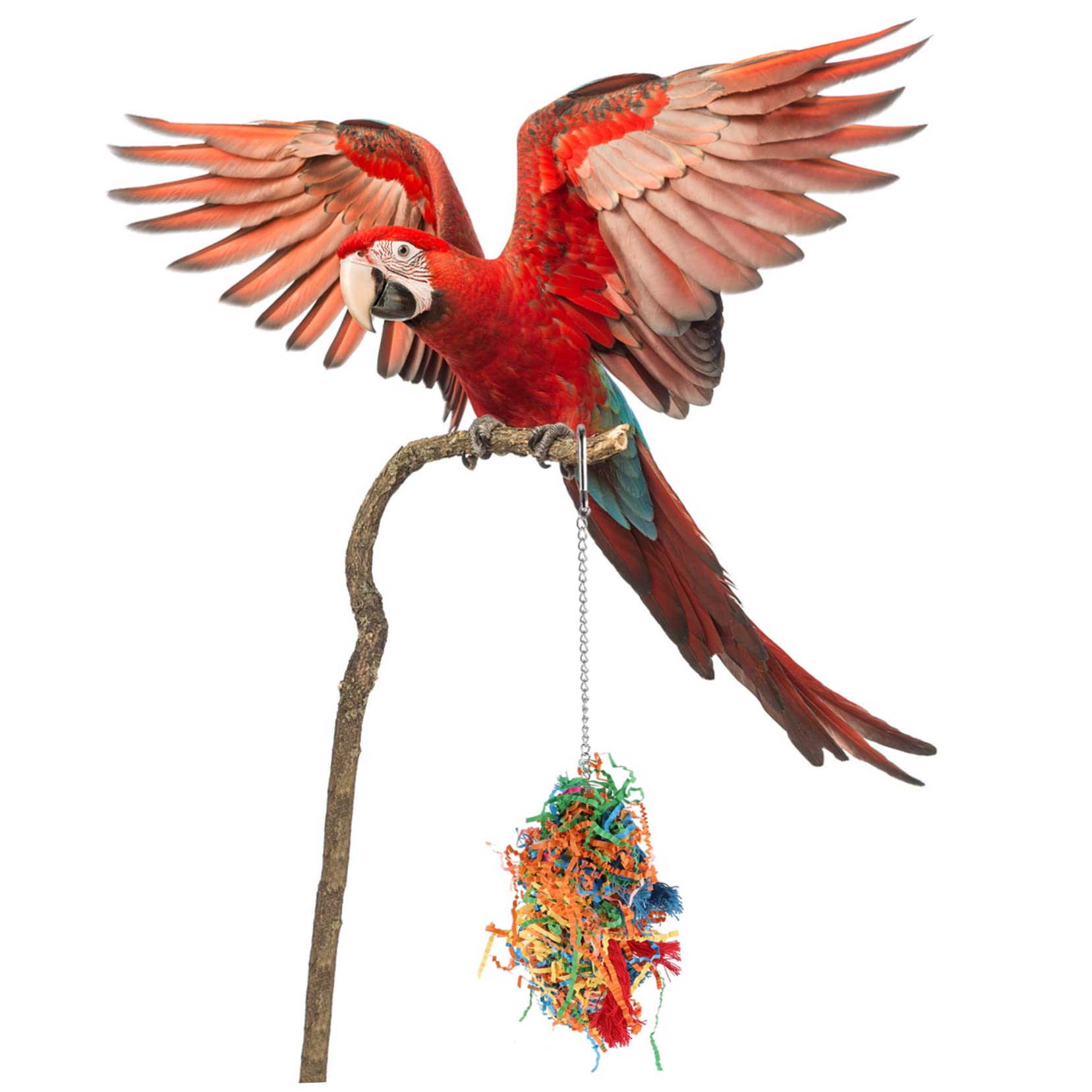 BESPORTBLE 8pezzi Giocattoli Per Uccelli Con Posatoio Per Pappagalli Di Giochi Per Masticare e Sgranocchiare Per Cage e Attività Ricreative