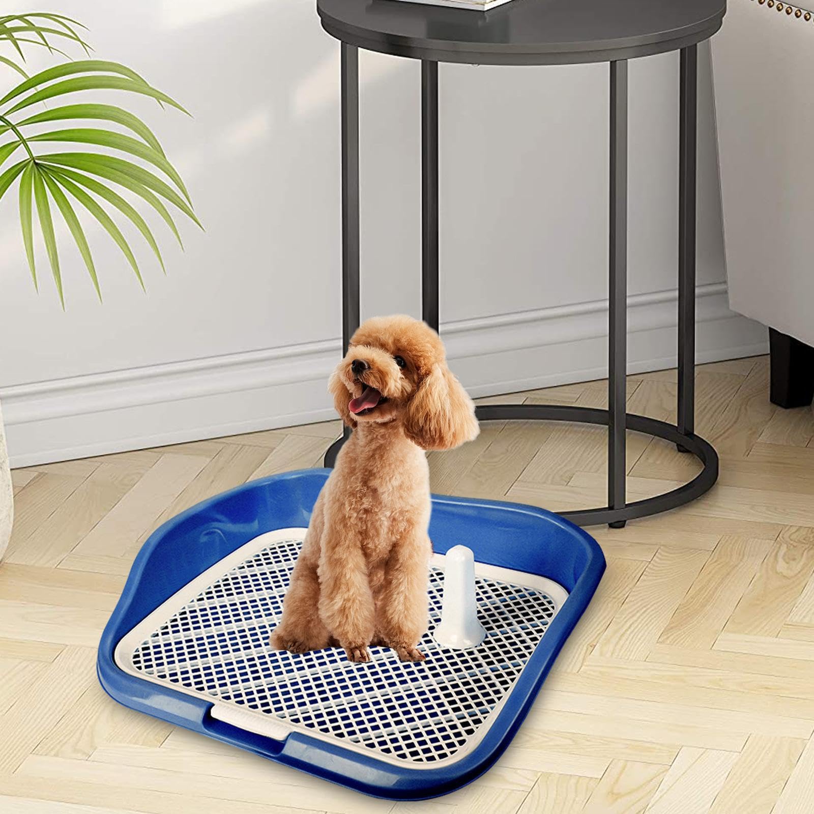 Lettiera per cuccioli, vaschetta per addestramento conigli, cavie, ratti, piccoli animali, facile da pulire, resistente, soluzione per l'addestramento dei cani, angolo