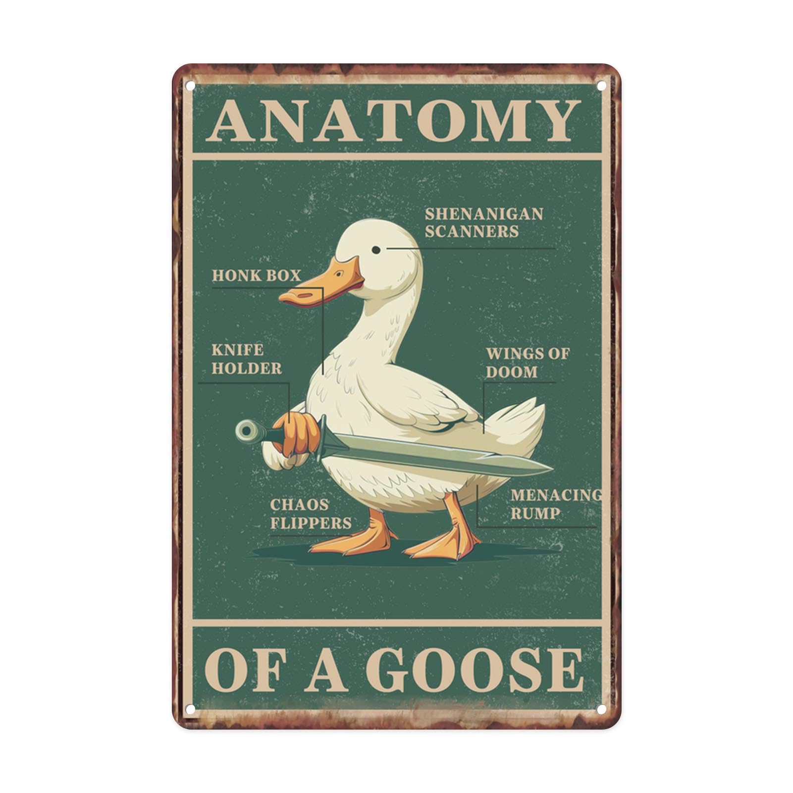 Goose Anatomy Knowledge Tin Sign, 12x8 Inch Retro Decor