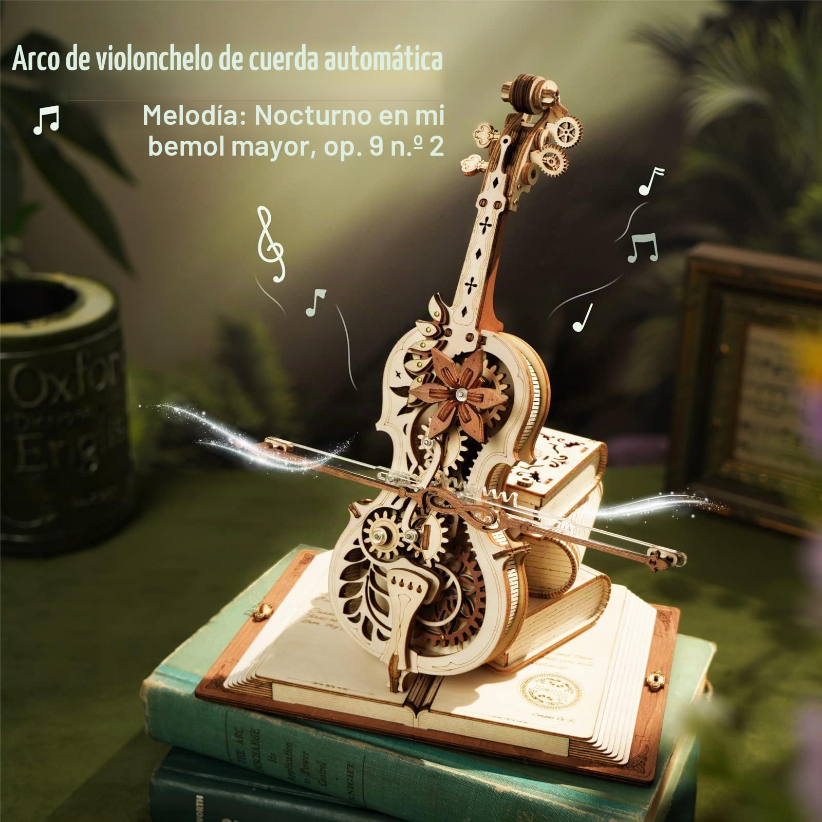 ROKR Puzzles 3D,Madera para Construir Adultos,Caja de Música,AMK63 | Maquette para principiantes, Decoración de Escritorio