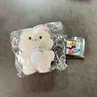 Amazon.co.jp: dreamy dream nct チソン ぬいぐるみ 10cm : おもちゃ