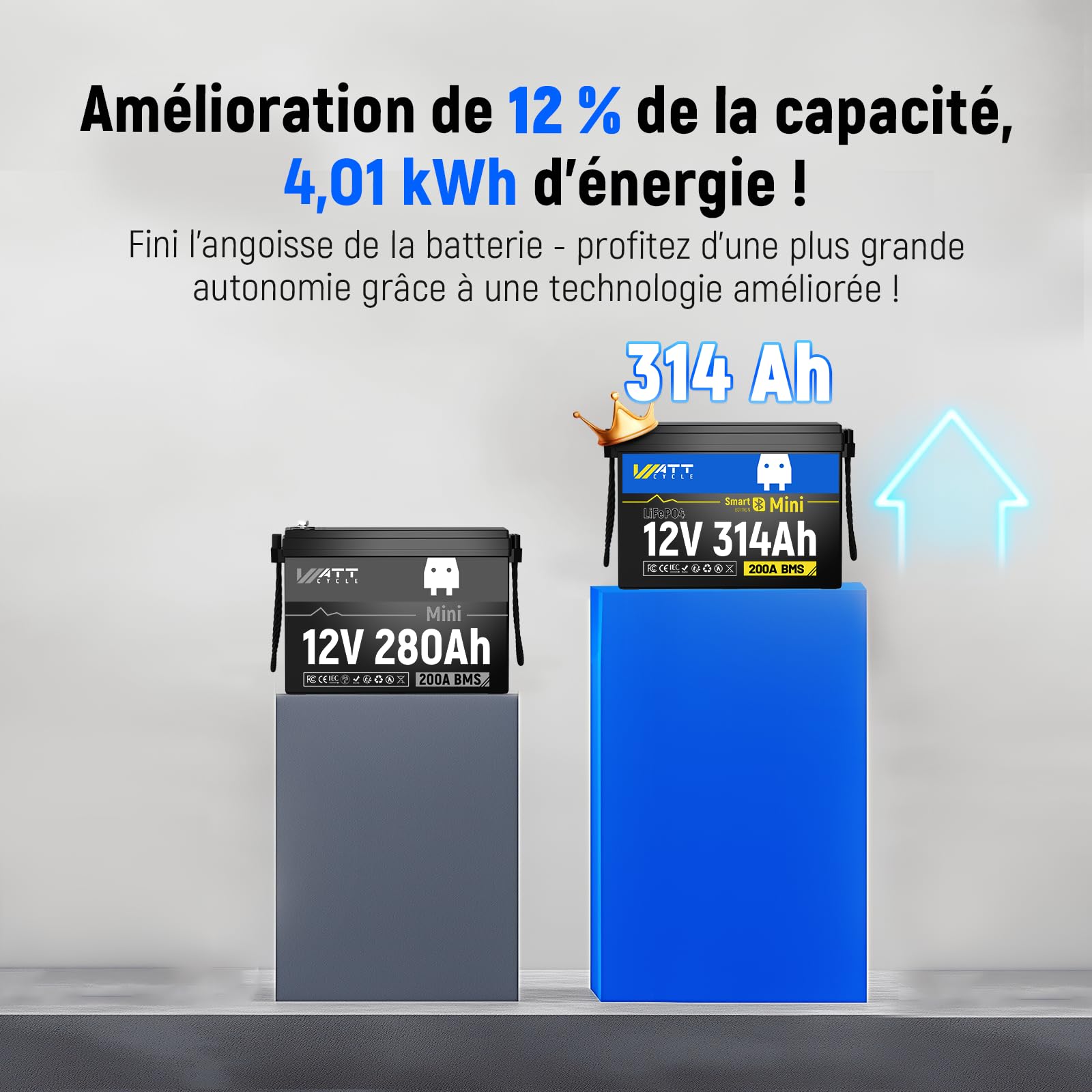 Pack de 2 Wattcycle Batteries Lithium 12V 314Ah LiFePO4 Bluetooth, Batteries Décharge Lente avec BMS 200A et Protection Anti-Froid, pour Solaire, Camping-Car et Marine