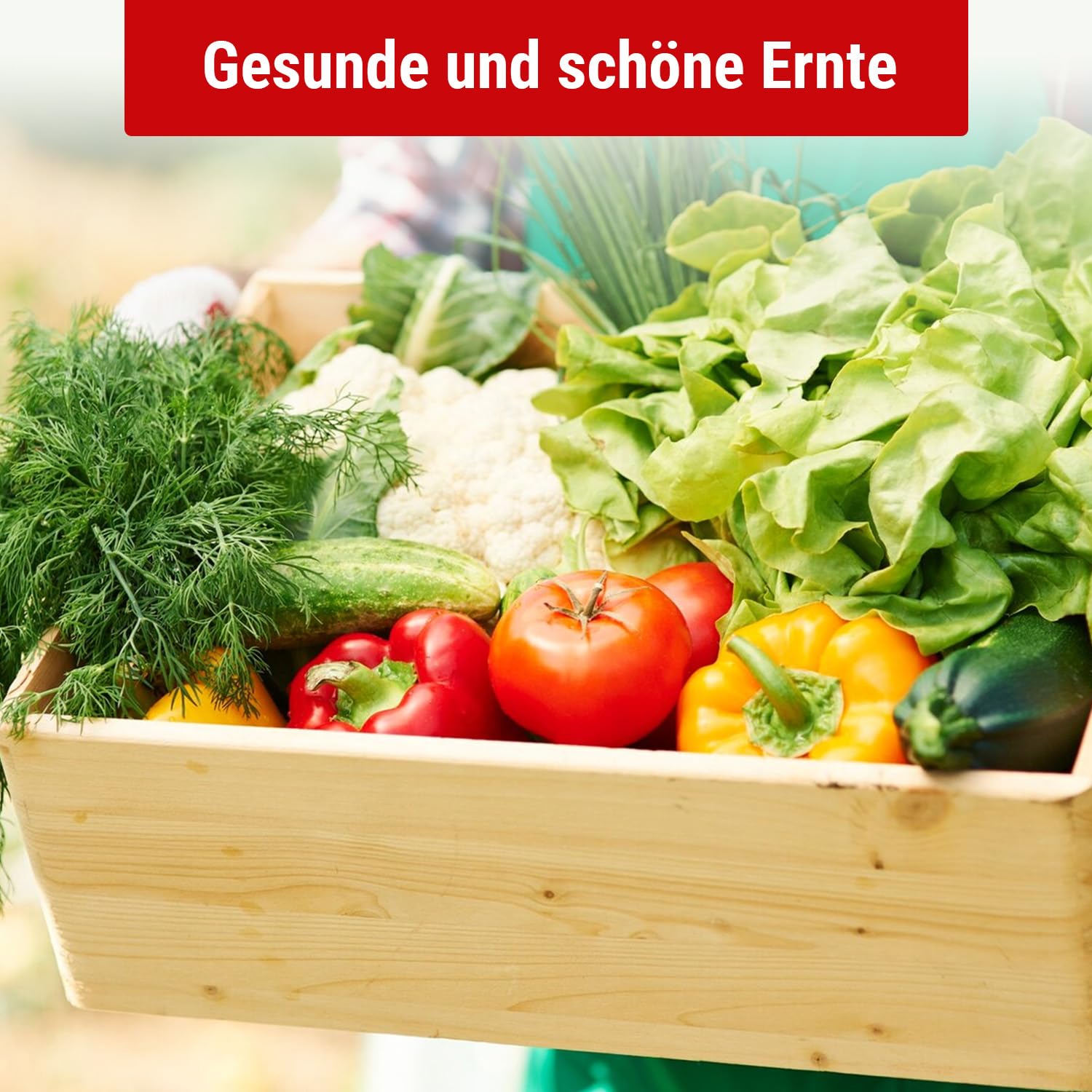 Blaukorn Dnger 10 kg fr Blumen, Garten, Gemse, Kruter, Obstbau und  Pflanzung, Blaudnger 8+8+8 NPK Langzeitdnger : Amazon.de: Garten