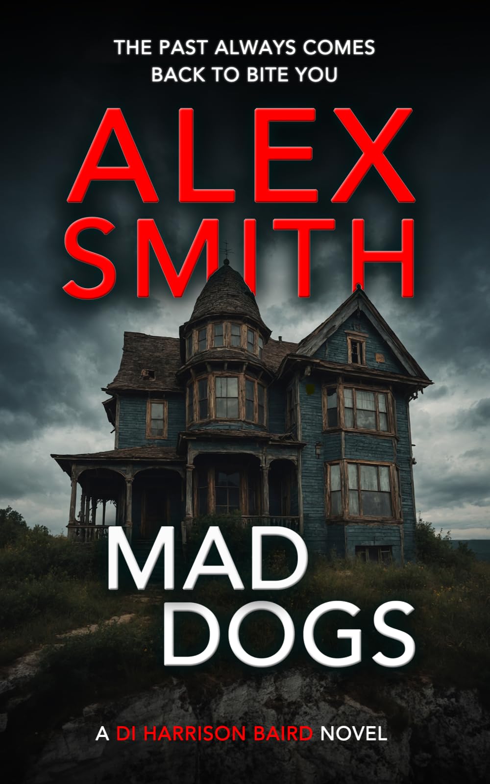 Mad Dogs: A British Crime Thriller (DI Harrison Baird Crime Thrillers)