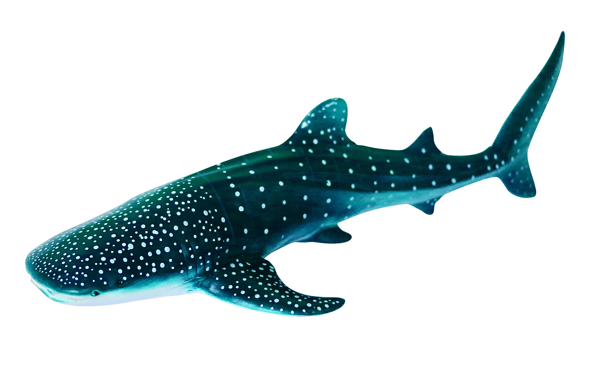 完全未使用級 希少レア 3連番 ジンベイザメ ジンベイサメ 鮫シャーク 紙幣 完全未使用級 希少レア 3連番 ジンベイザメ ジンベイサメ 鮫シャーク