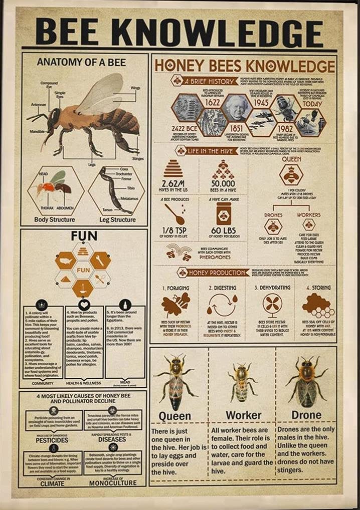 TOCMANE Metal Sign Bee Knowledge, Bee Lover Poster, Bee Lover Wall Art Gift, Tin Sign Kitchen Home Decor Poster Tin Sign Metal Wall Decoration 8x12inch