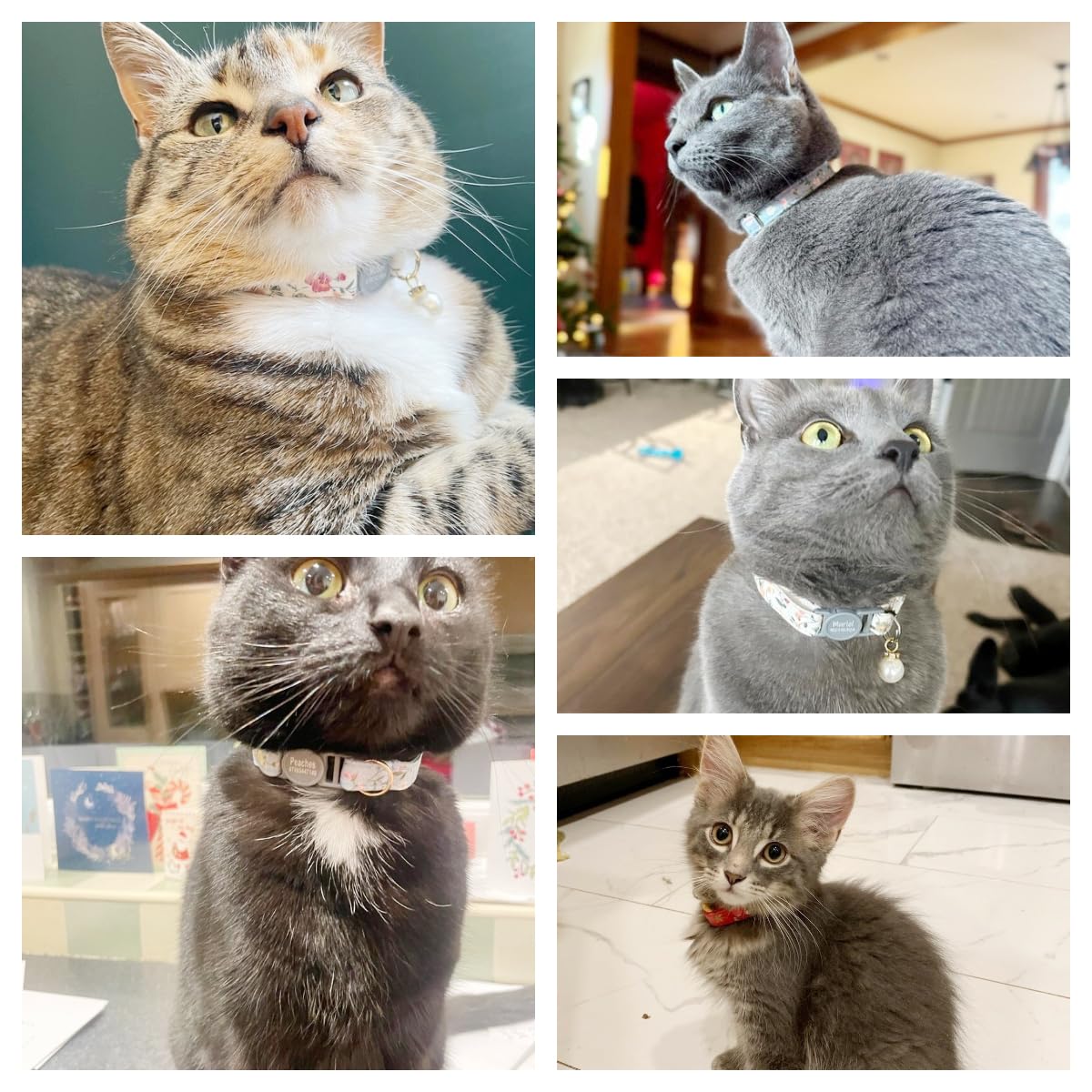 View 6