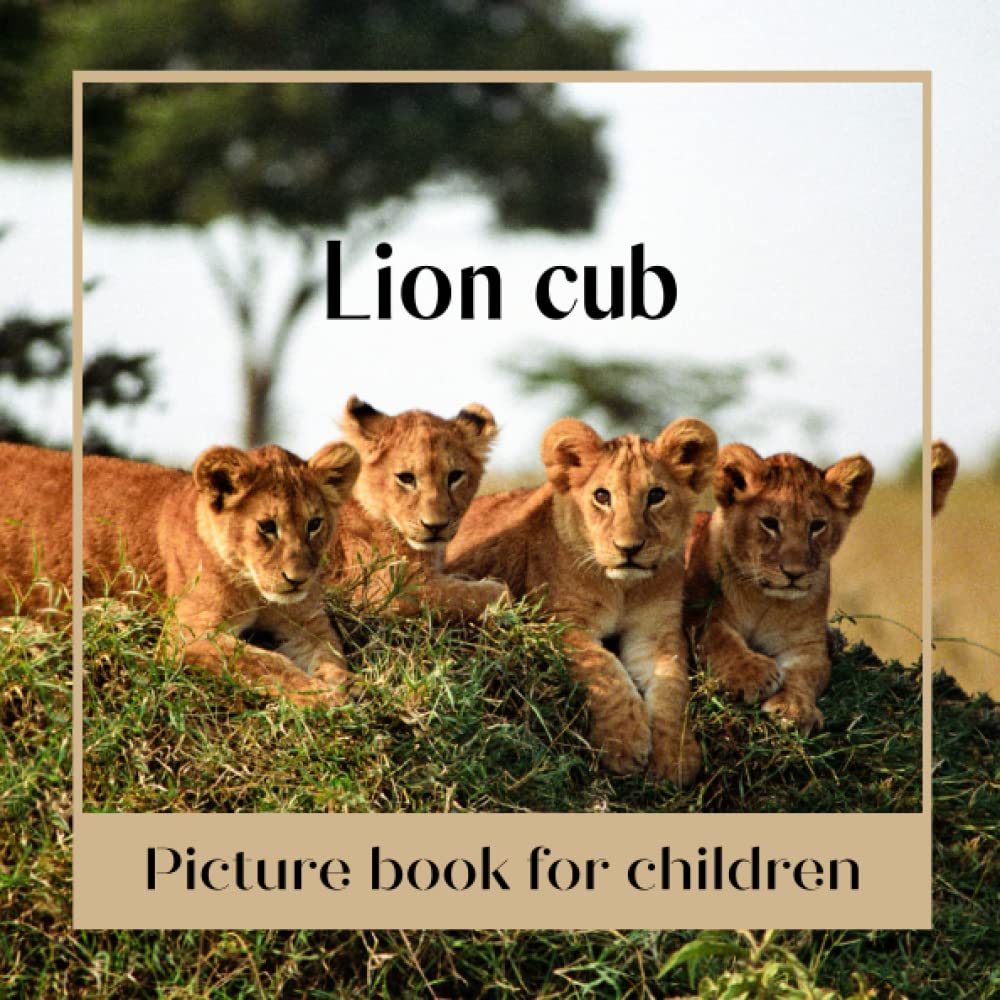 Picture book for children -Lion cub: Discovering Lion cub in pictures - Children 2 to 5 years old
