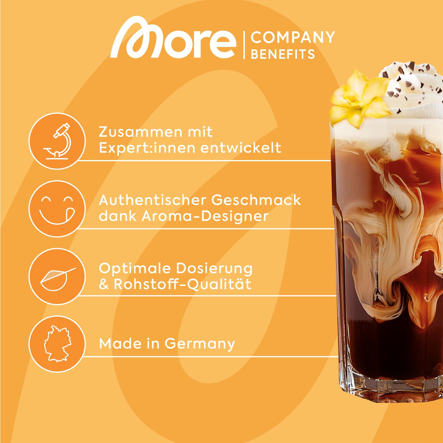 MORE Barista Zerup, Vanilla, 4 x 65 ml | für Kaffee, Tee und Heißgetränke, vegan, zero Kalorien, made in Germany