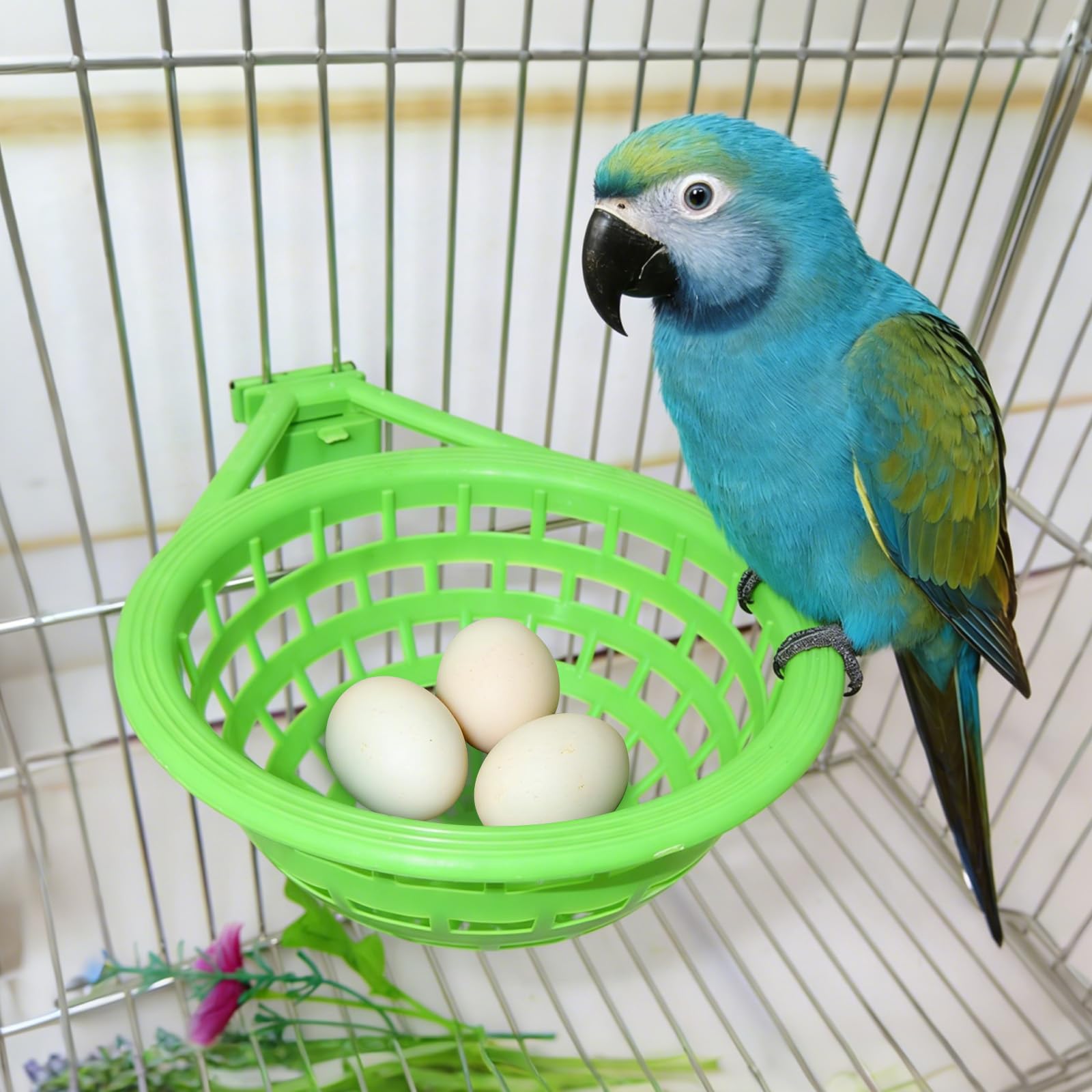 LATRAT Lot de 2 cages à suspendre en plastique pour canaris, perroquet, canaris, pigeon (petit)